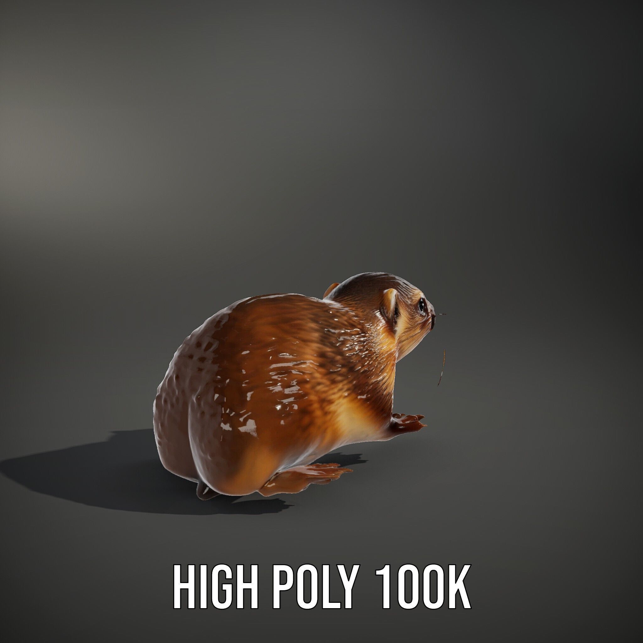 Realistic Small Animal Model Pack  Ideal for Rendering and Games Low-poly 3D model_12