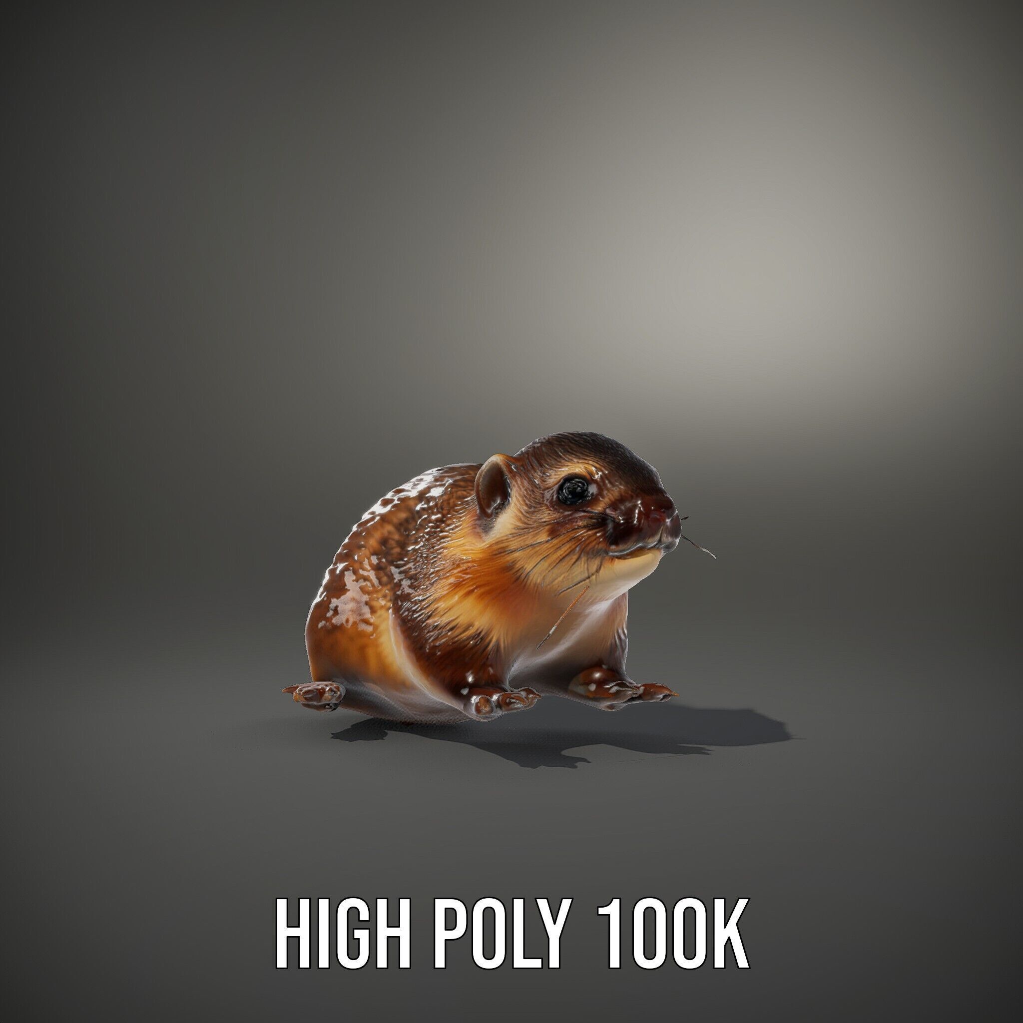 Realistic Small Animal Model Pack  Ideal for Rendering and Games Low-poly 3D model_9