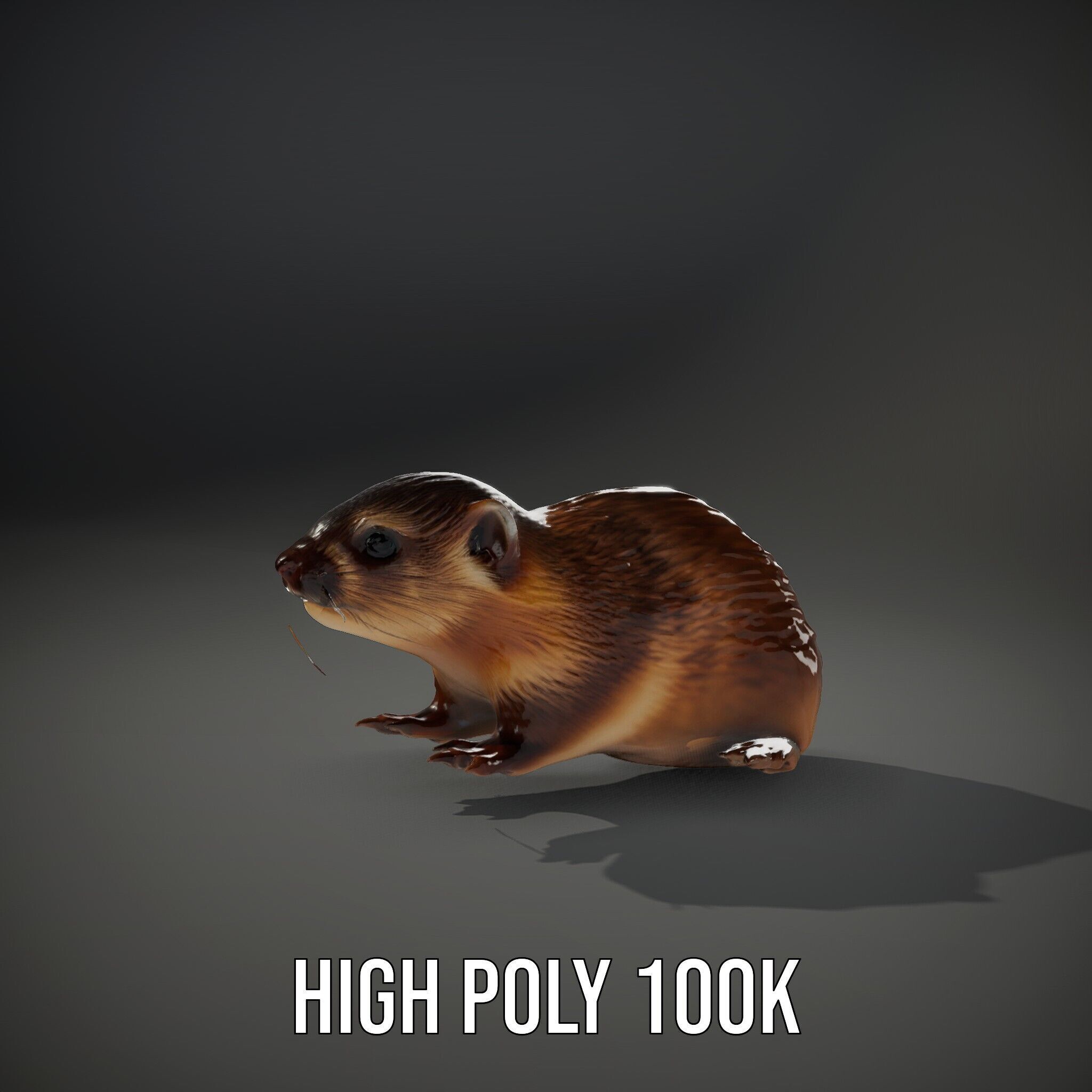 Realistic Small Animal Model Pack  Ideal for Rendering and Games Low-poly 3D model_15