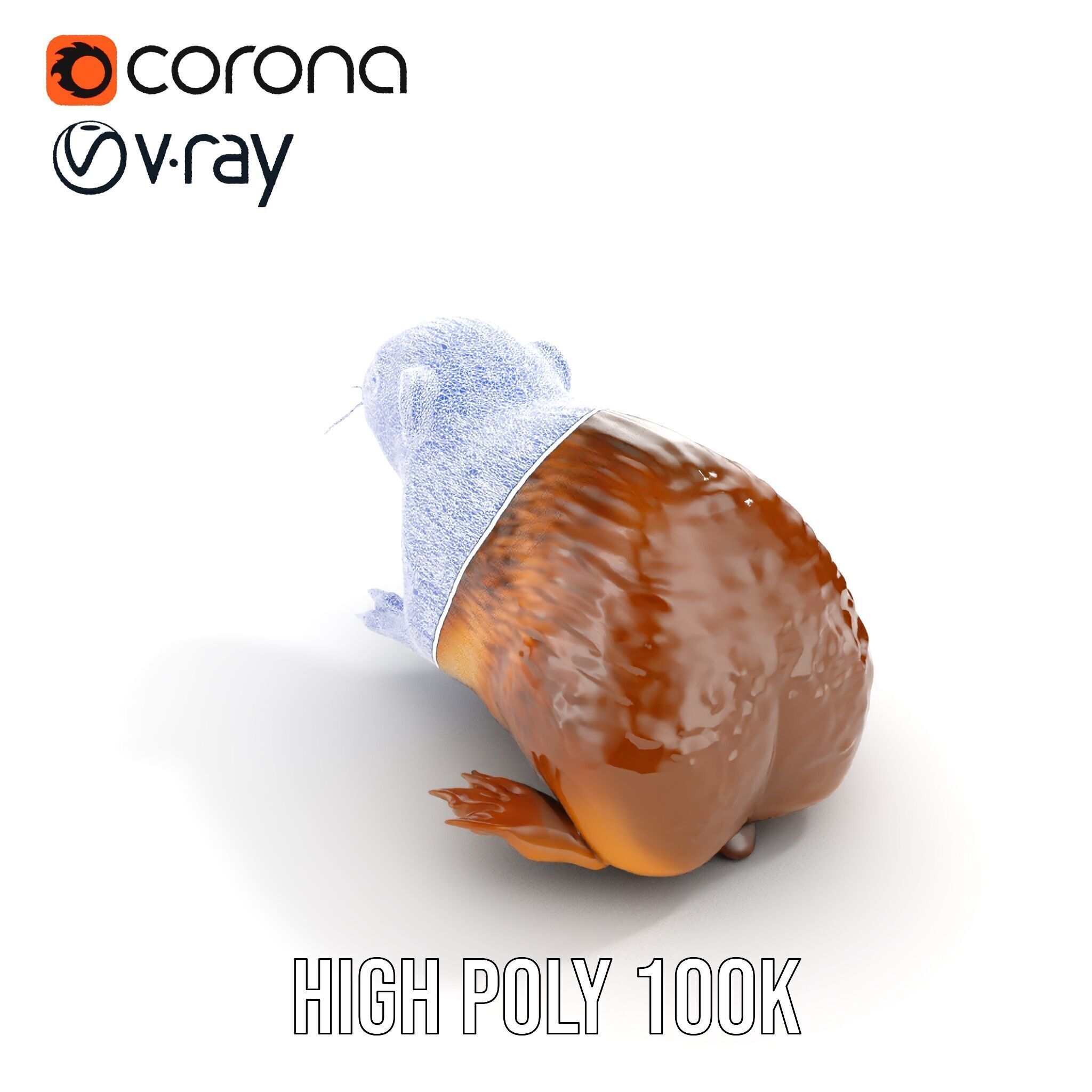 Realistic Small Animal Model Pack  Ideal for Rendering and Games Low-poly 3D model_30