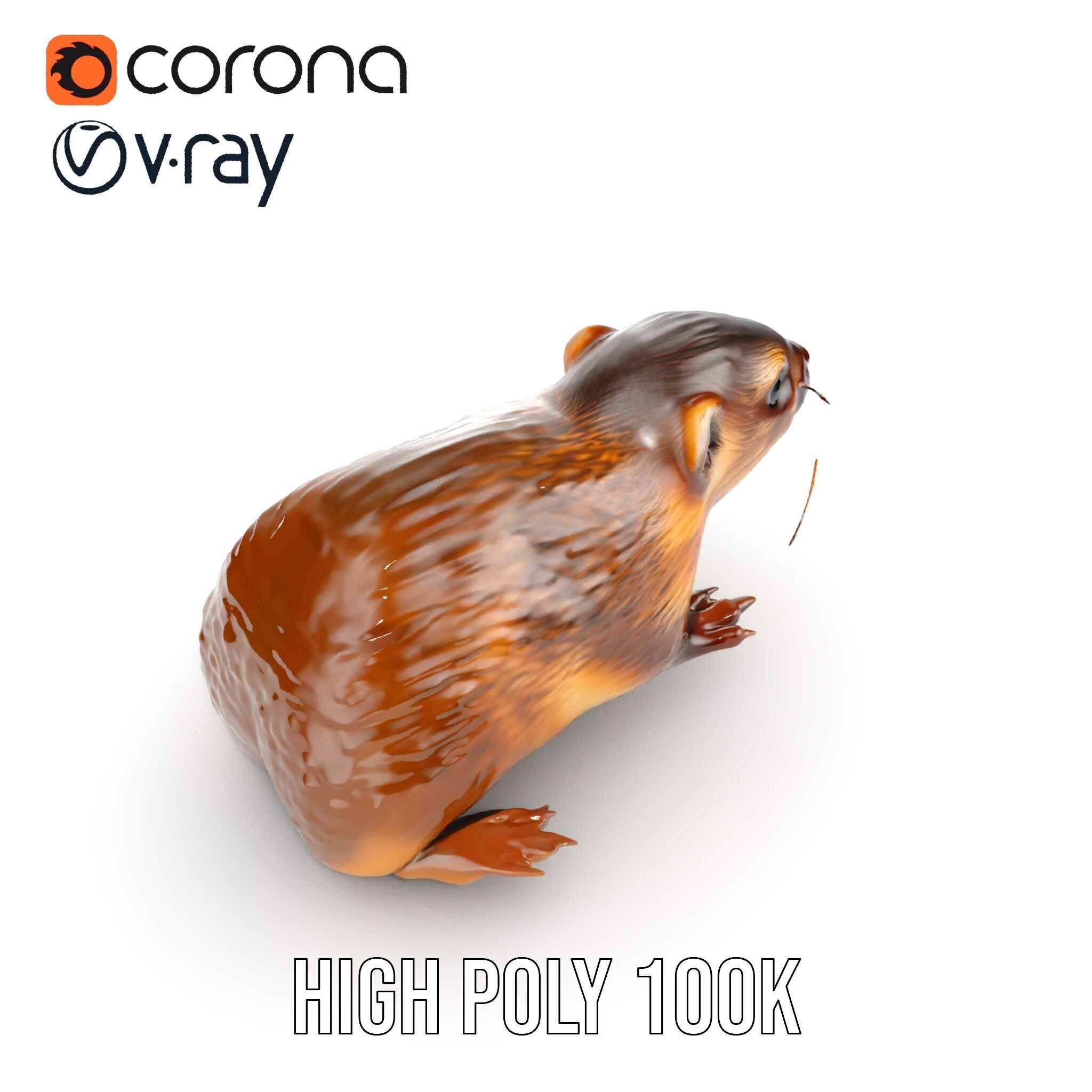 Realistic Small Animal Model Pack  Ideal for Rendering and Games Low-poly 3D model_23