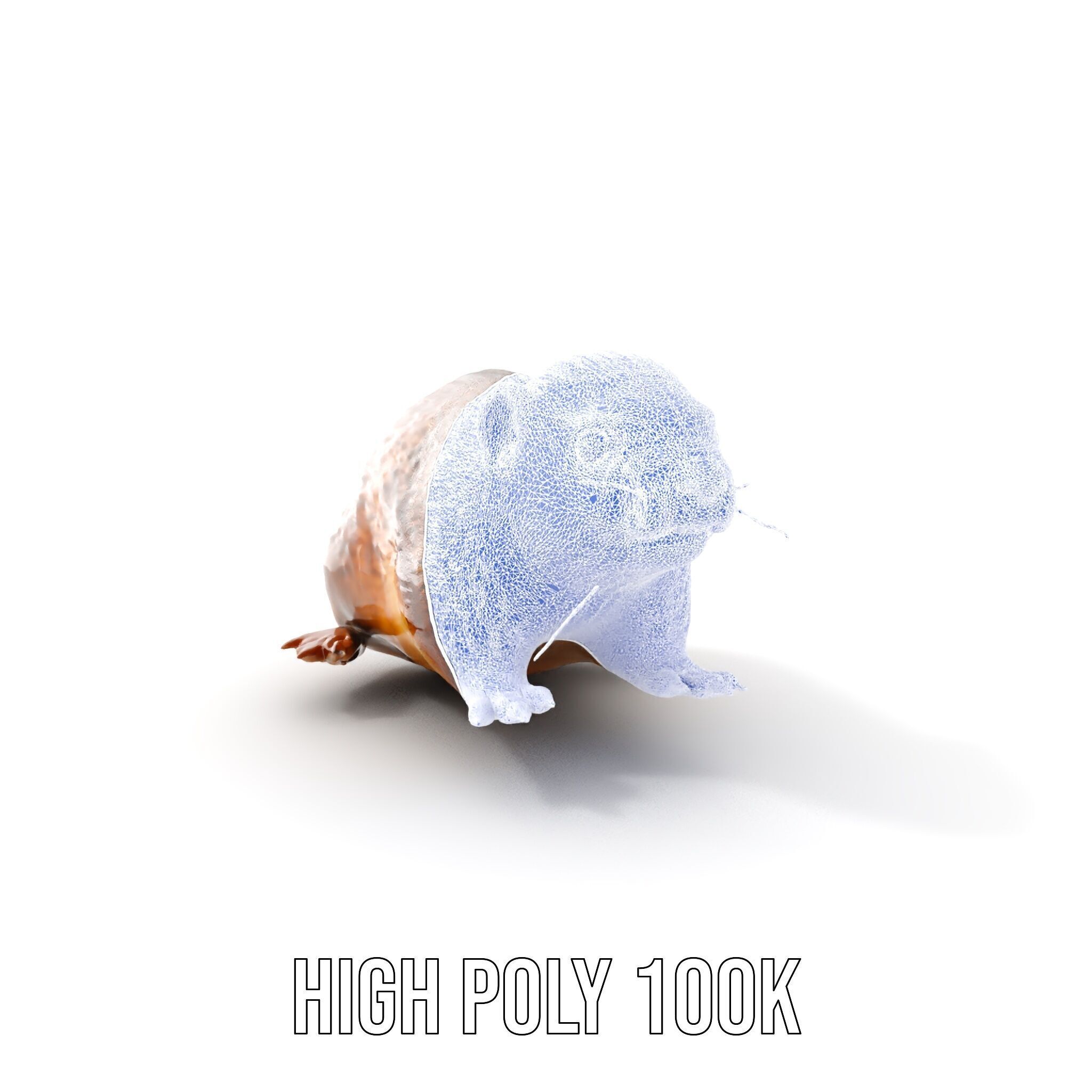 Realistic Small Animal Model Pack  Ideal for Rendering and Games Low-poly 3D model_19