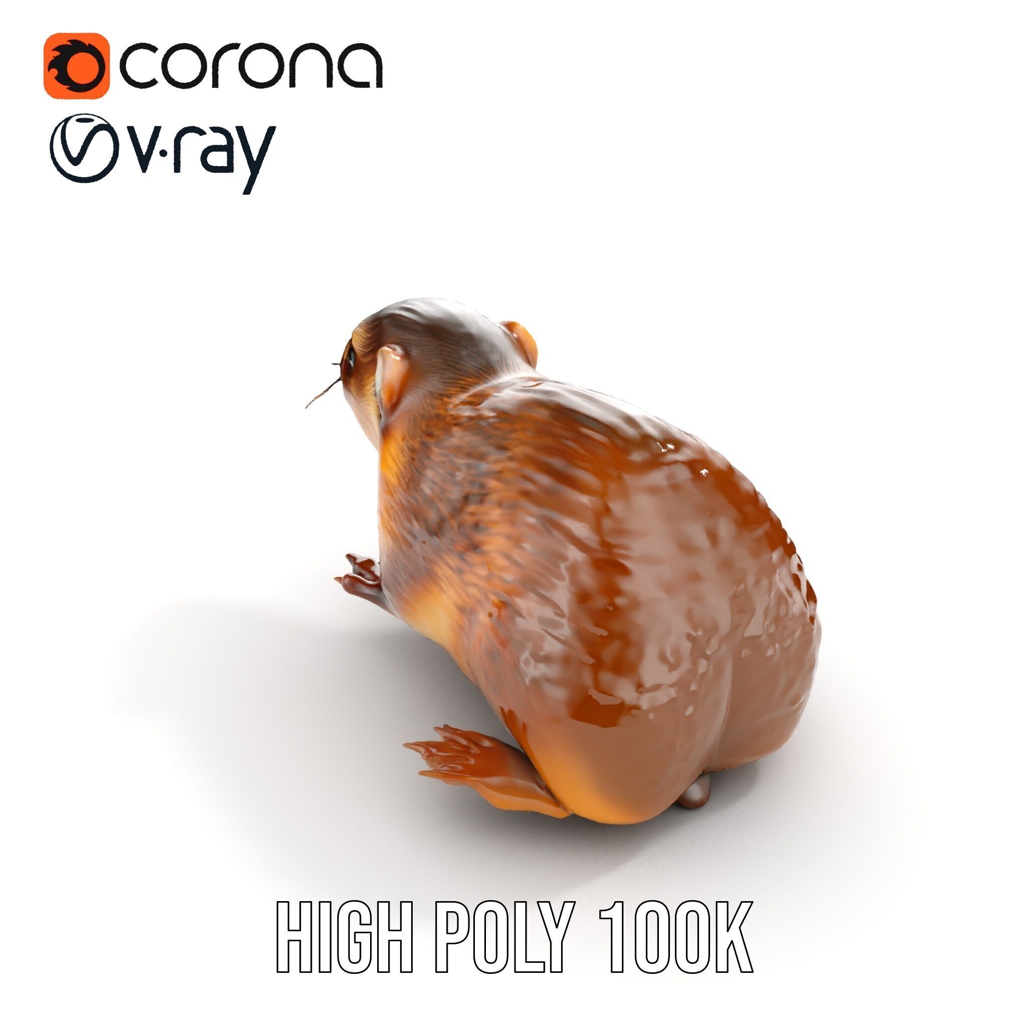 Realistic Small Animal Model Pack  Ideal for Rendering and Games Low-poly 3D model_28