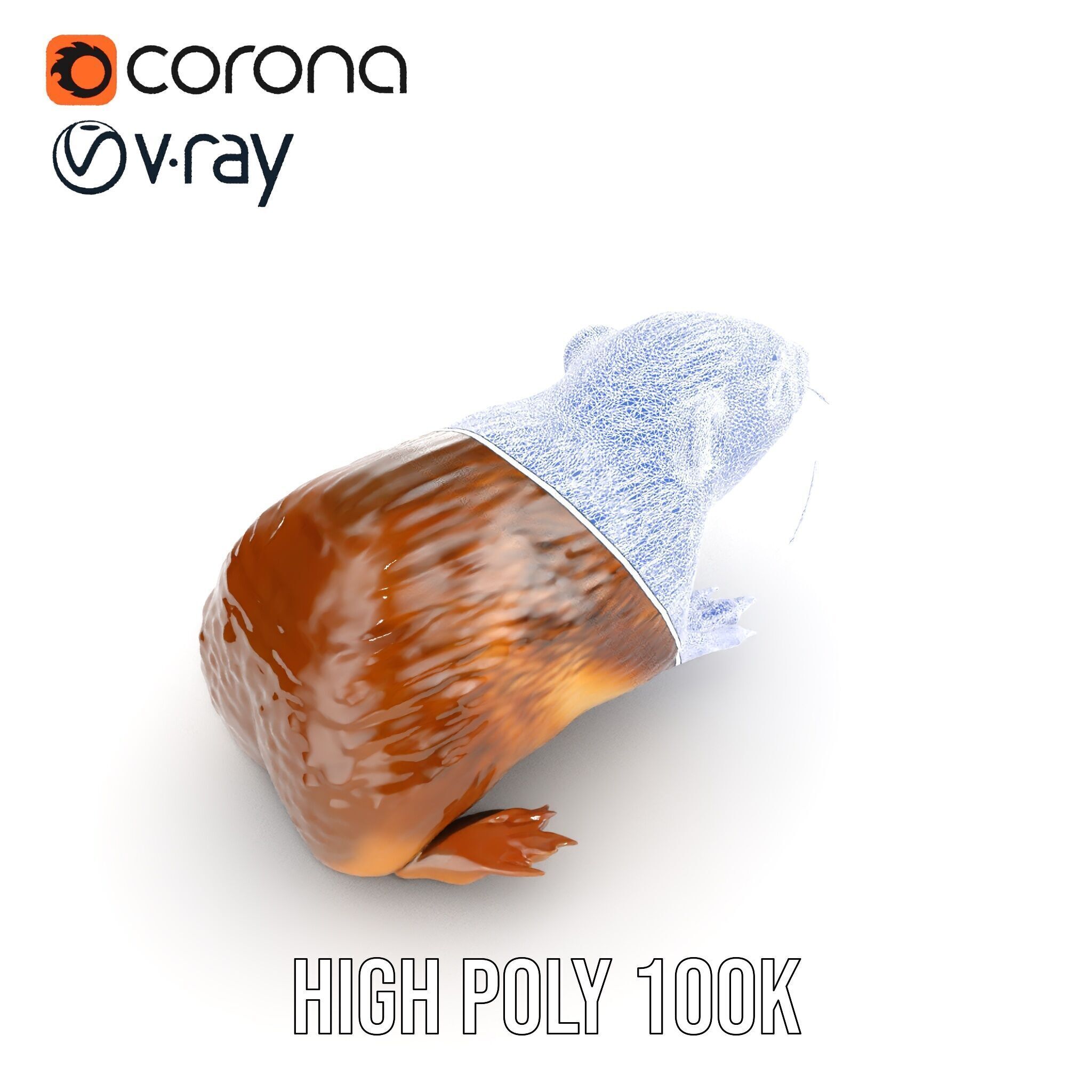 Realistic Small Animal Model Pack  Ideal for Rendering and Games Low-poly 3D model_22