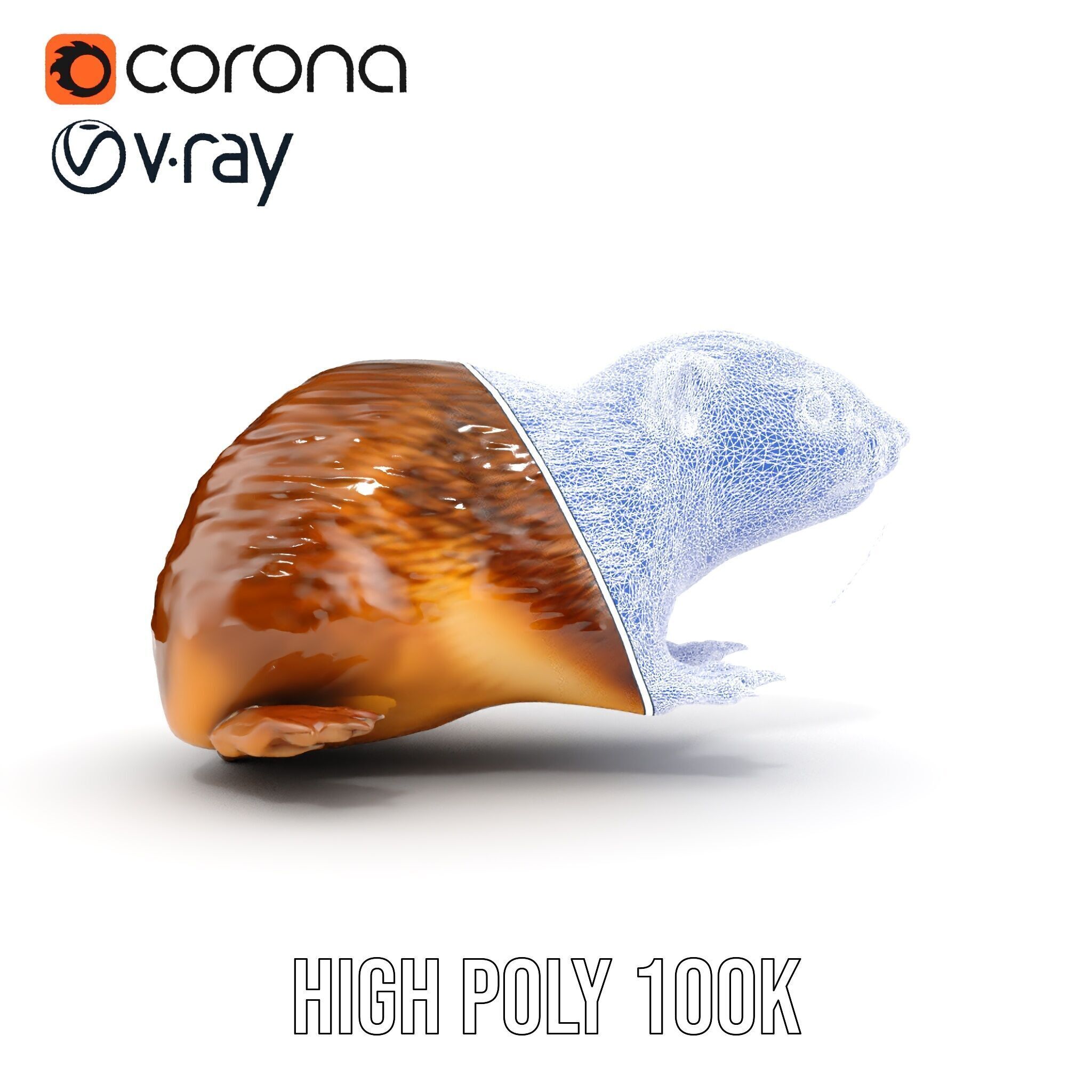 Realistic Small Animal Model Pack  Ideal for Rendering and Games Low-poly 3D model_38