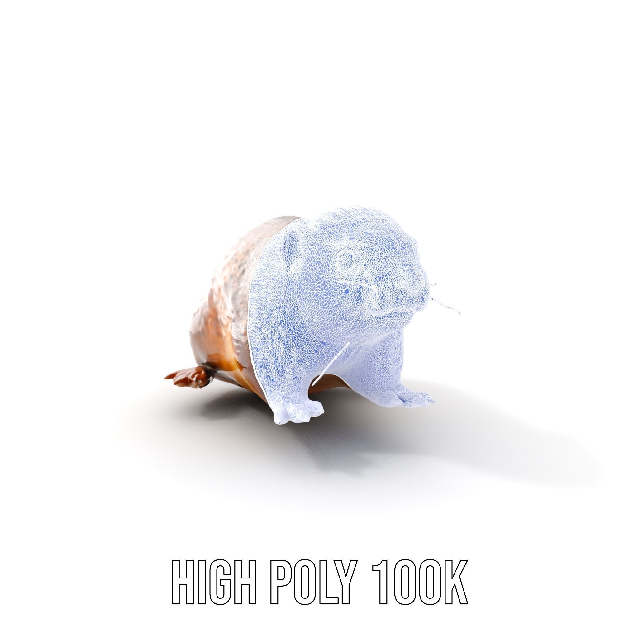 Realistic Small Animal Model Pack  Ideal for Rendering and Games Low-poly 3D model_32