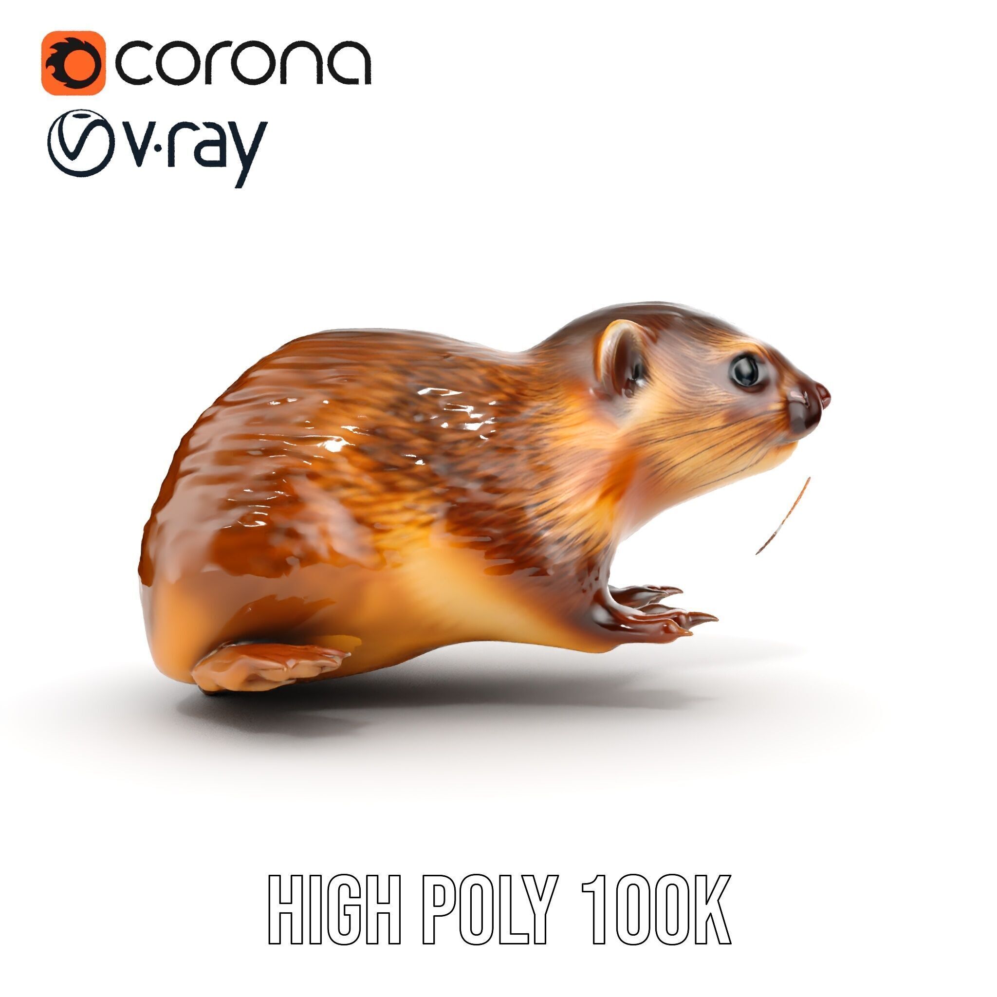 Realistic Small Animal Model Pack  Ideal for Rendering and Games Low-poly 3D model_21