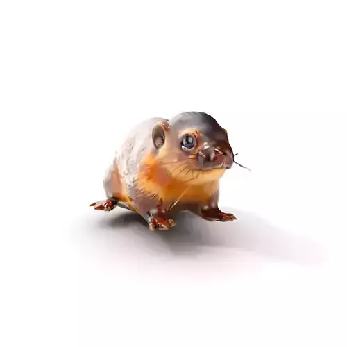 Realistic Small Animal Model Pack  Ideal for Rendering and Games Low-poly 3D model