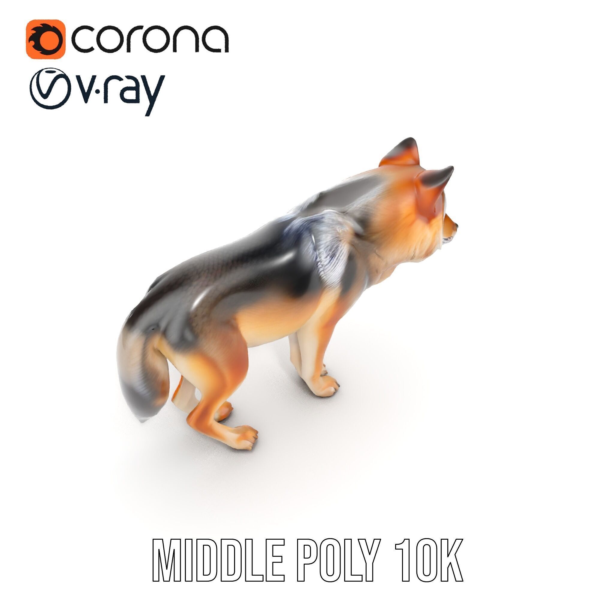 Realistic Wolf D Model Pack Low-poly 3D model_19