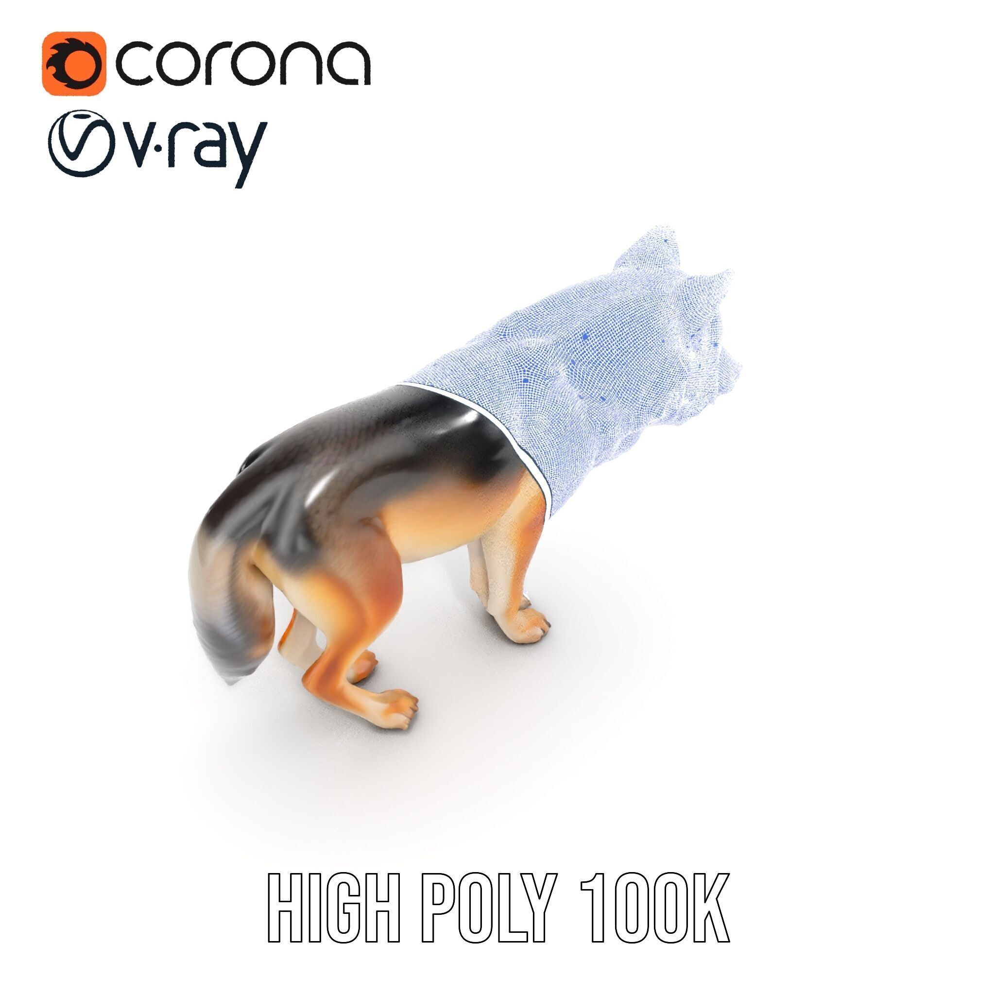 Realistic Wolf D Model Pack Low-poly 3D model_38