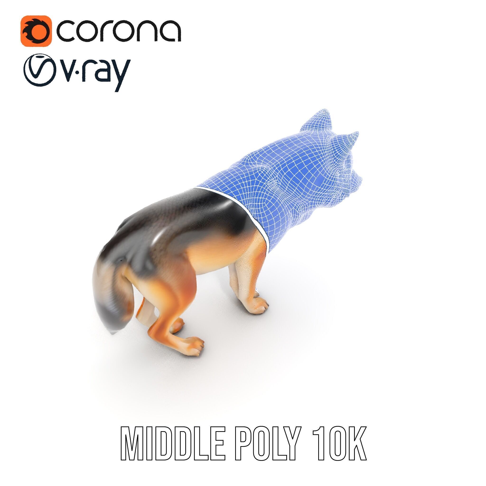 Realistic Wolf D Model Pack Low-poly 3D model_30