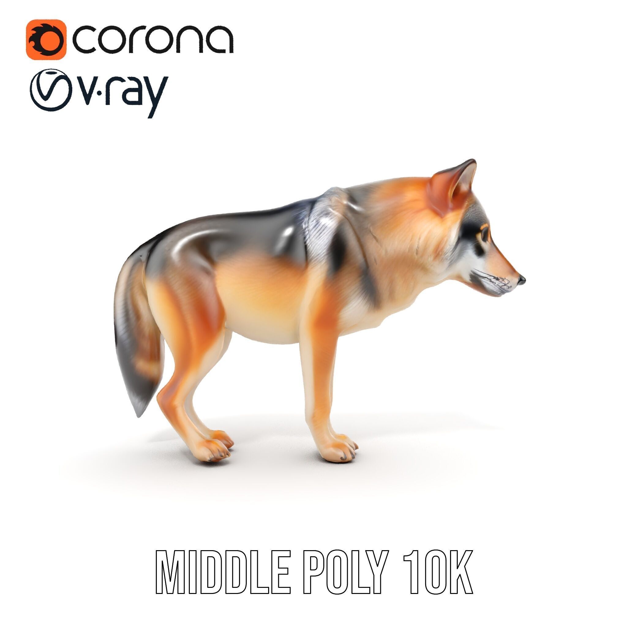 Realistic Wolf D Model Pack Low-poly 3D model_12