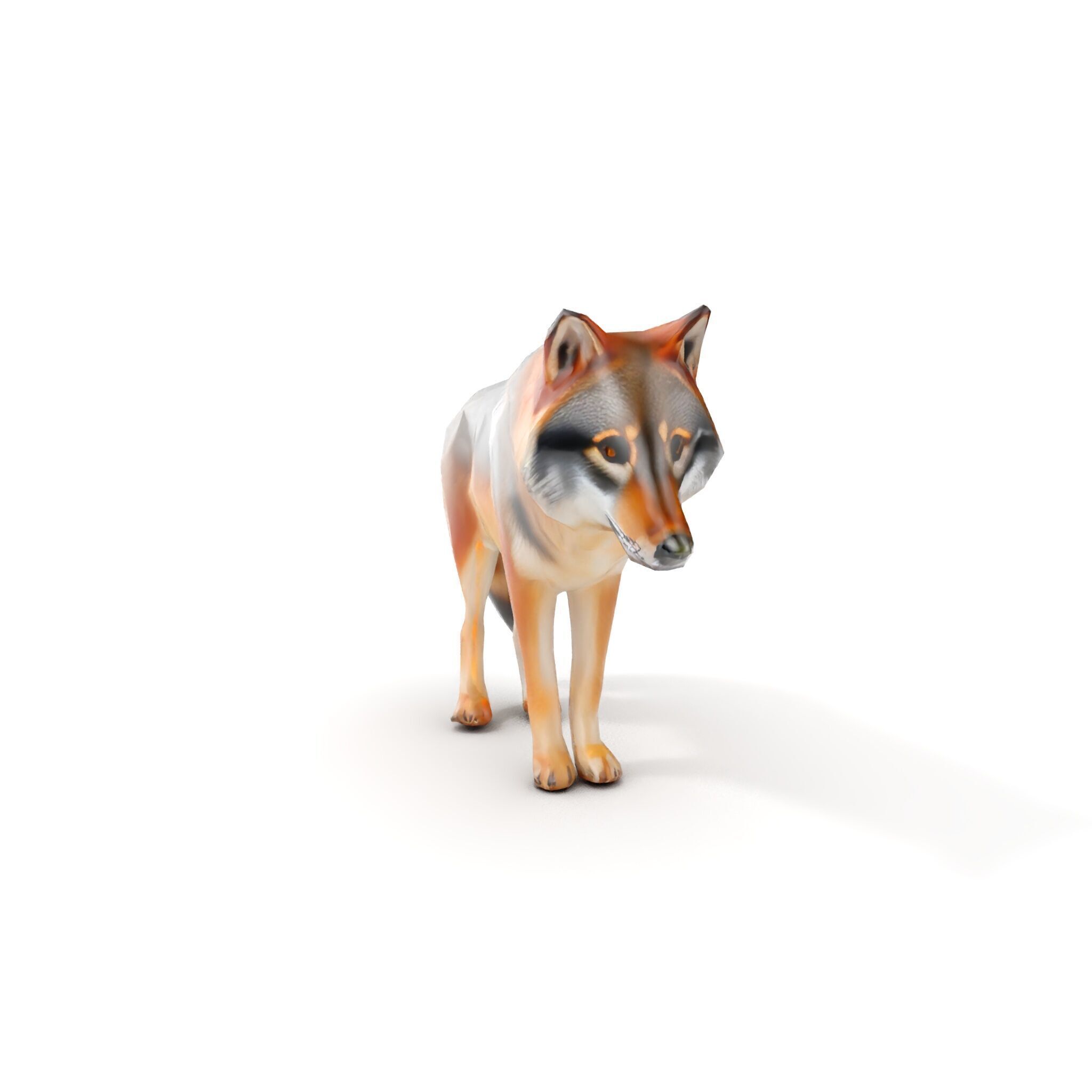Realistic Wolf D Model Pack Low-poly 3D model_7
