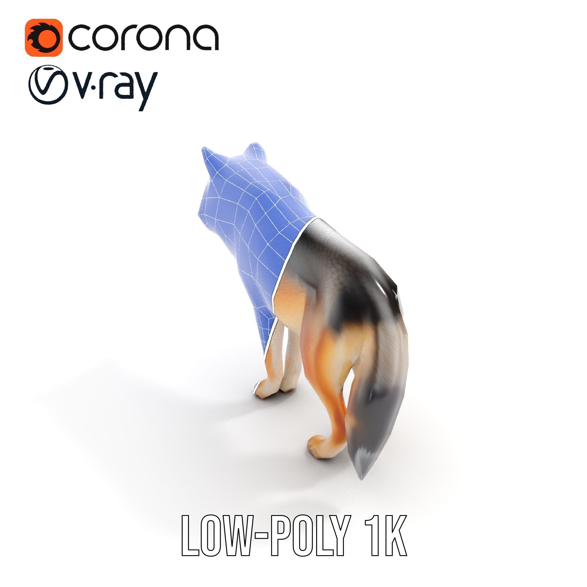 Realistic Wolf D Model Pack Low-poly 3D model_26