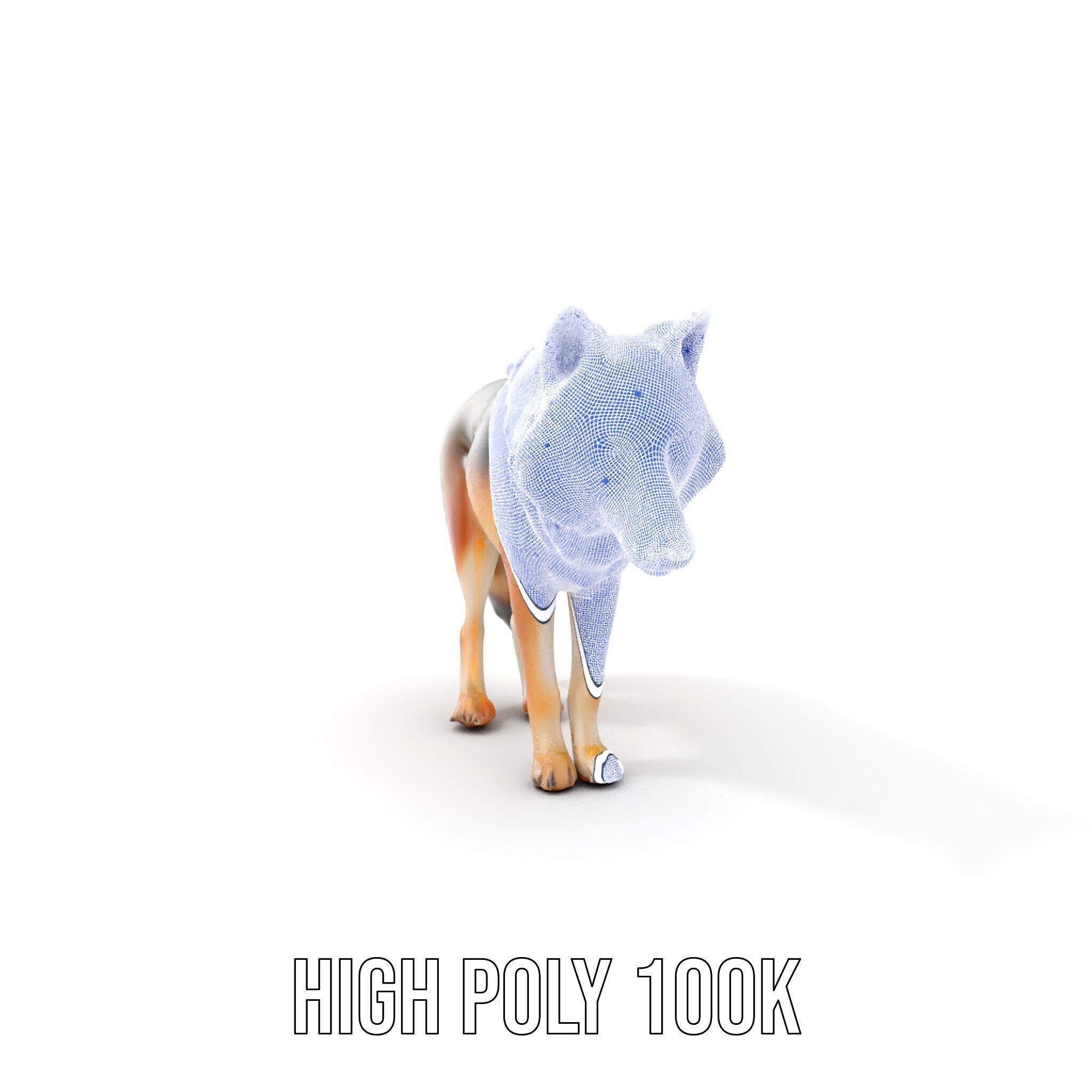 Realistic Wolf D Model Pack Low-poly 3D model_4