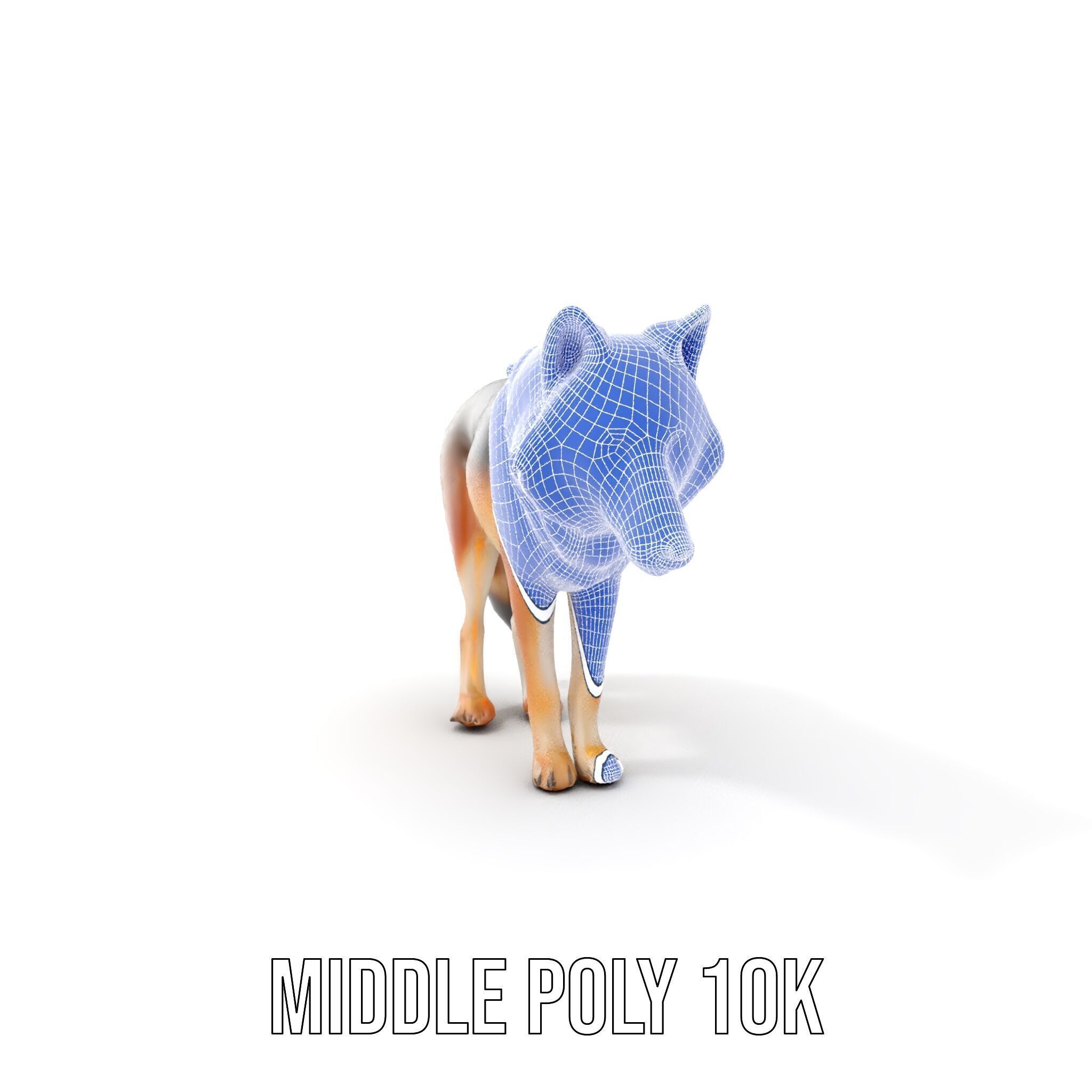 Realistic Wolf D Model Pack Low-poly 3D model_22