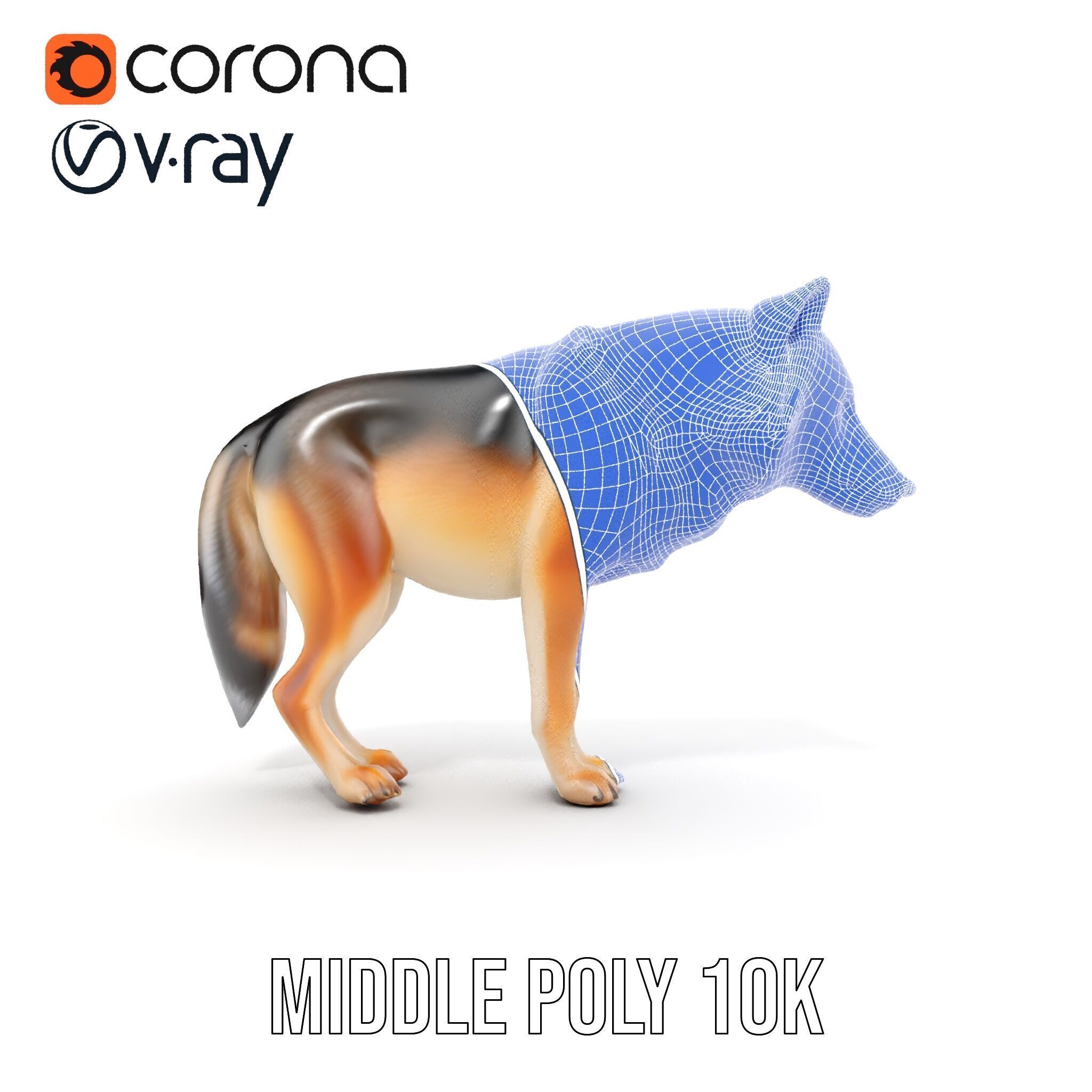 Realistic Wolf D Model Pack Low-poly 3D model_28