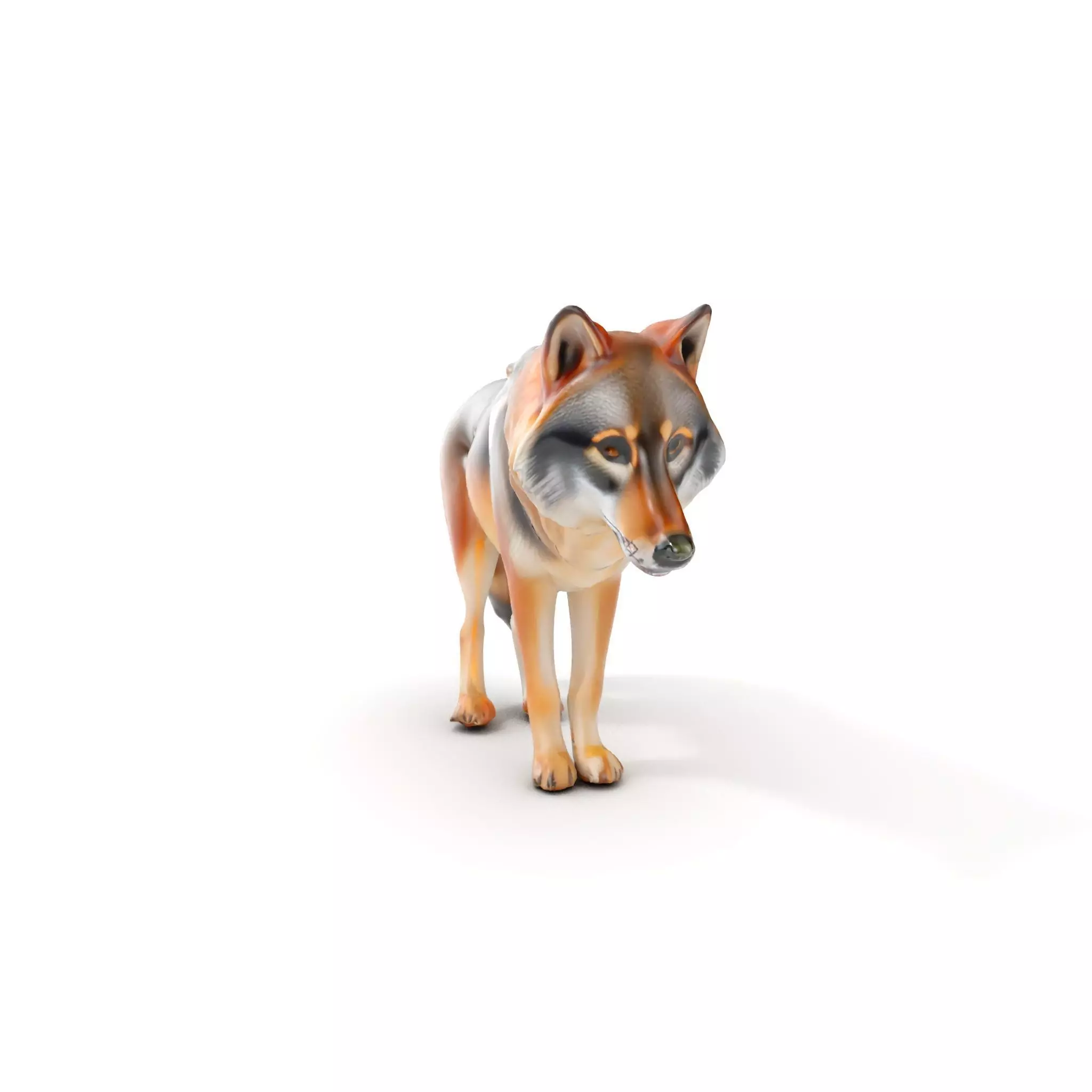 Realistic Wolf D Model Pack Low-poly 3D model_0