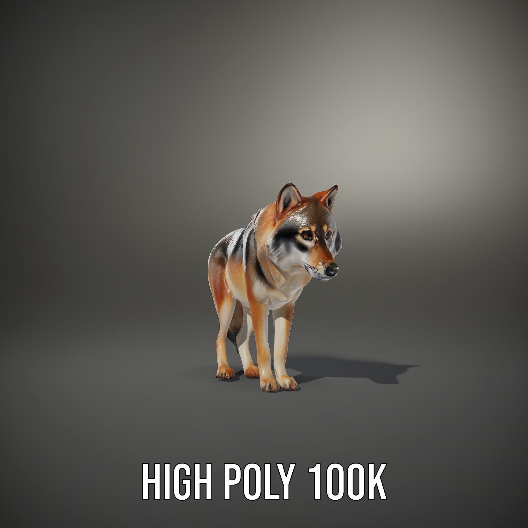 Realistic Wolf D Model Pack Low-poly 3D model_14