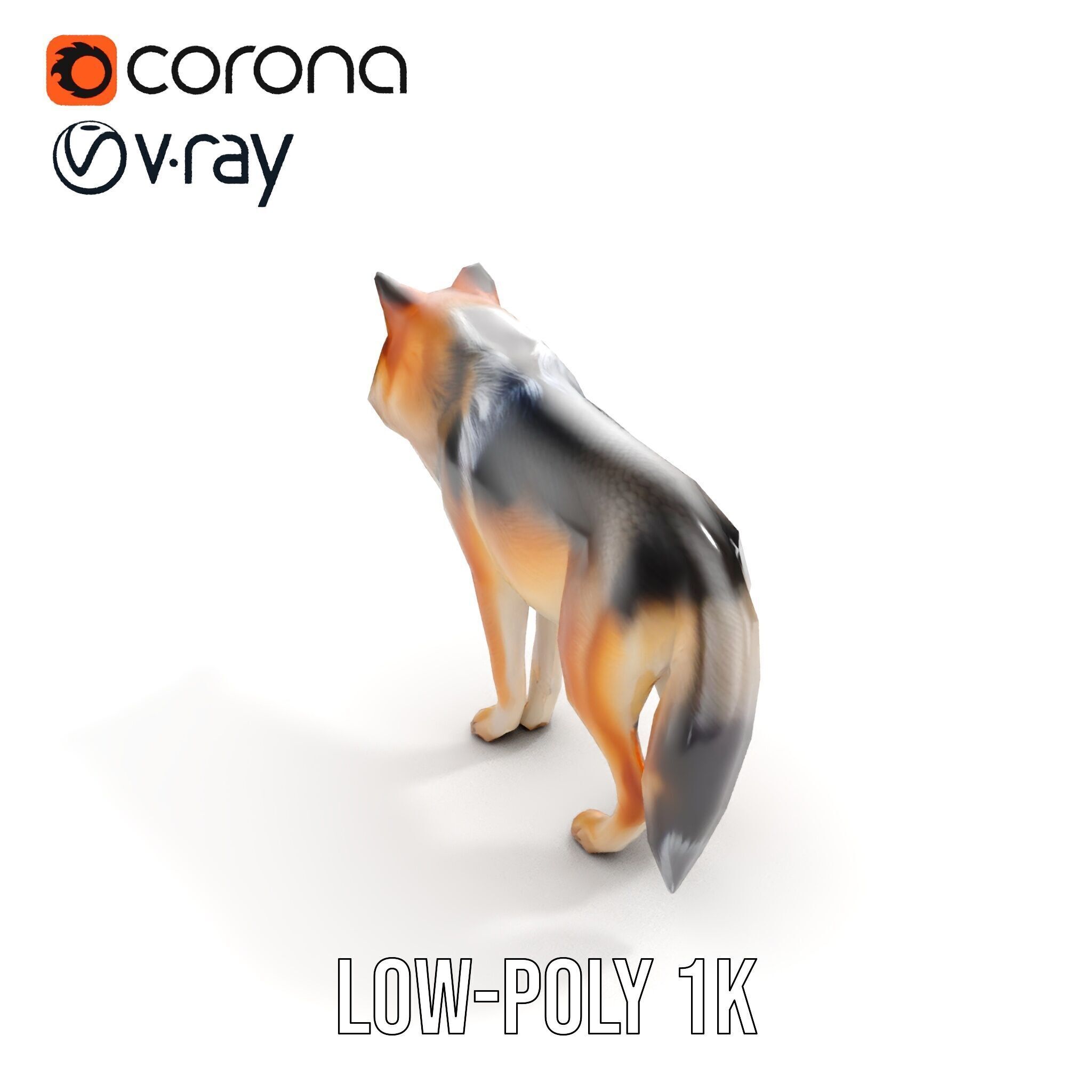 Realistic Wolf D Model Pack Low-poly 3D model_13