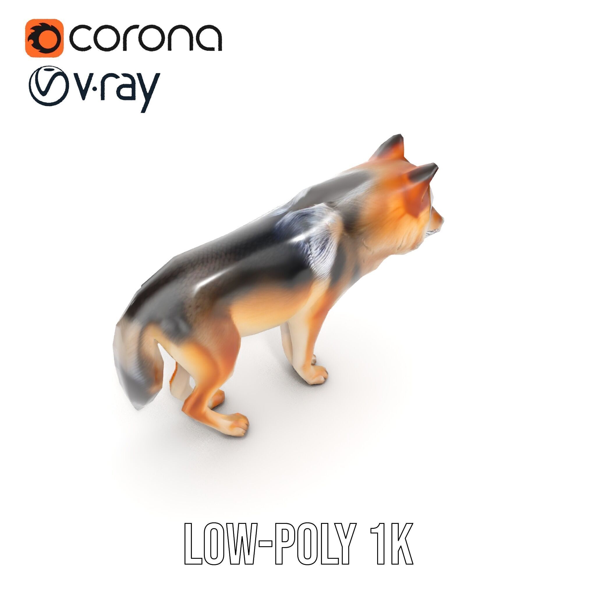 Realistic Wolf D Model Pack Low-poly 3D model_18