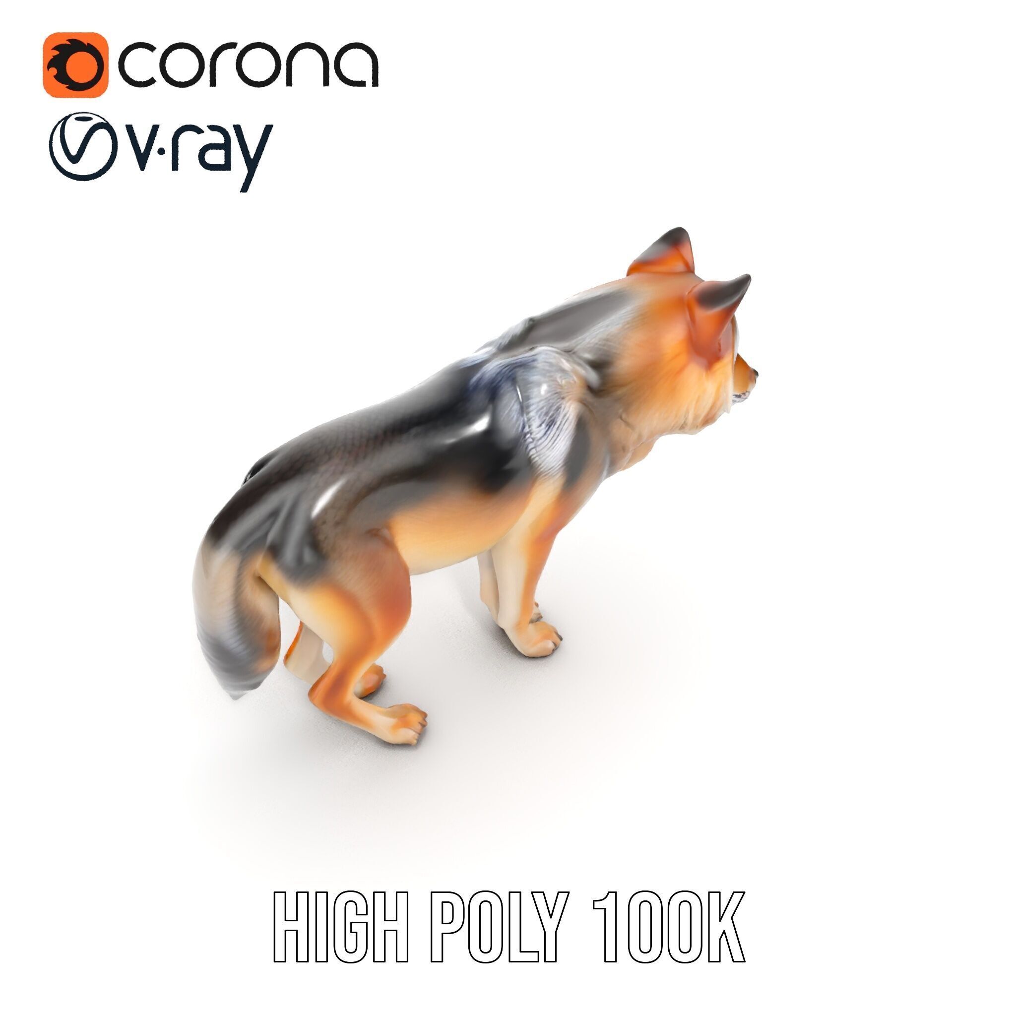 Realistic Wolf D Model Pack Low-poly 3D model_27