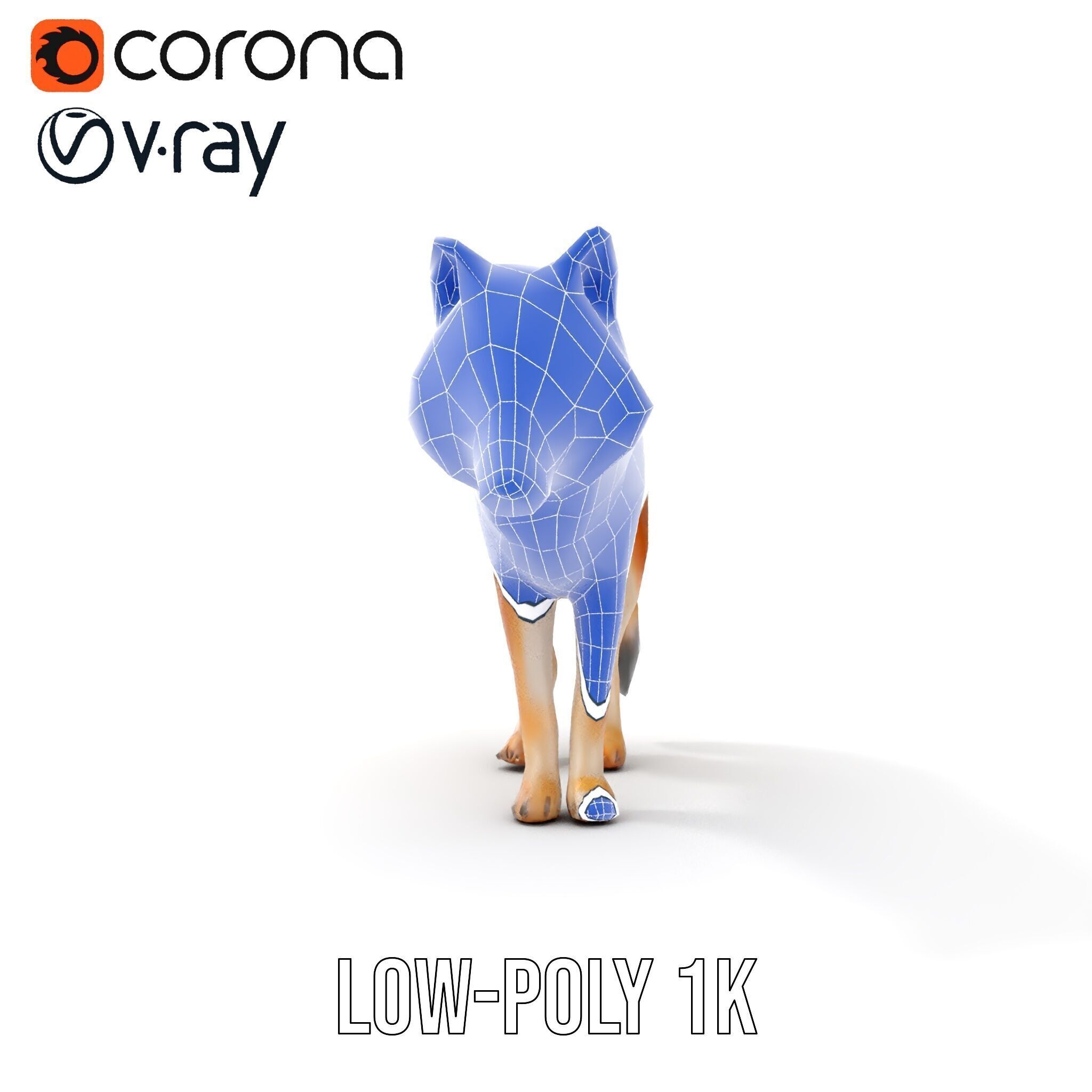 Realistic Wolf D Model Pack Low-poly 3D model_16