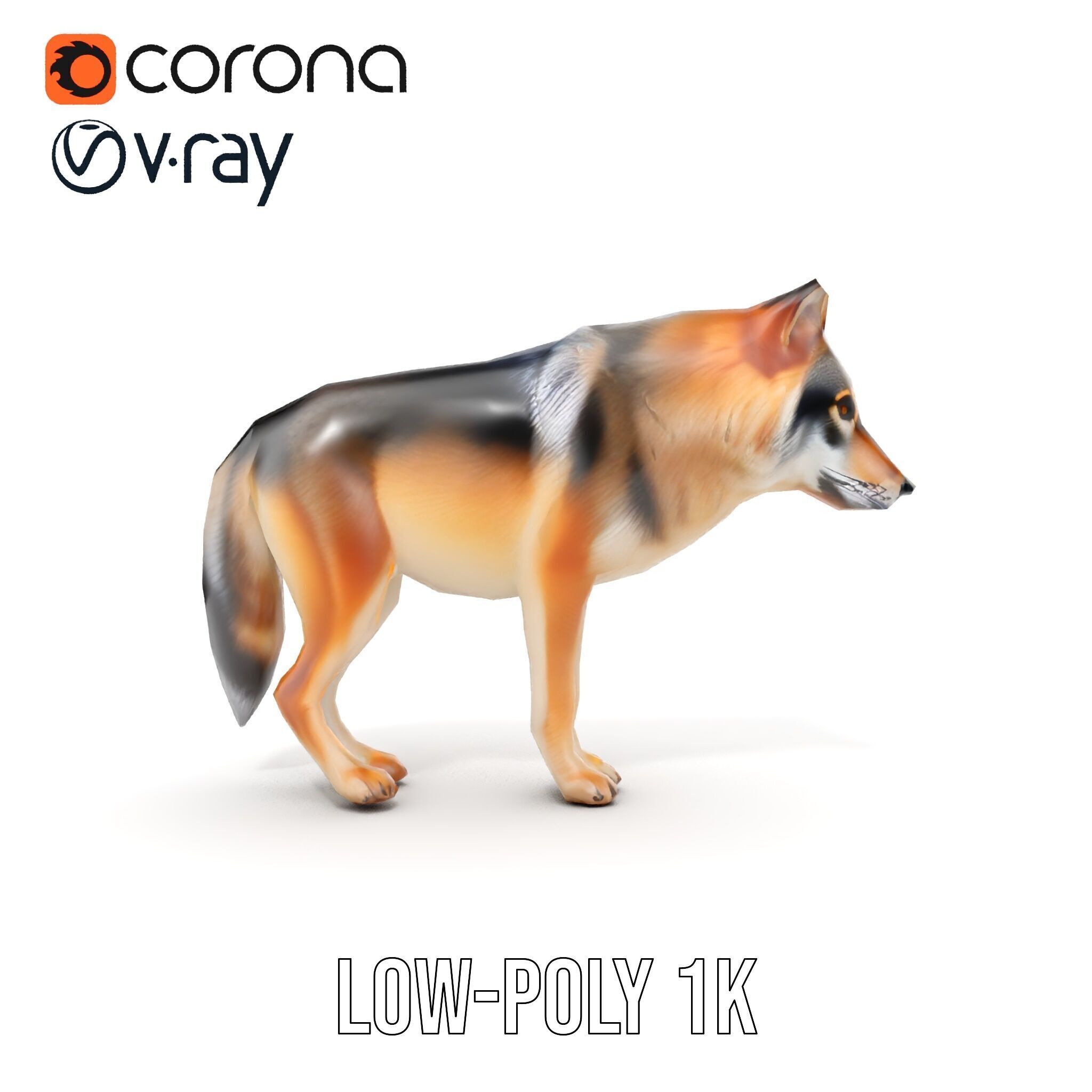 Realistic Wolf D Model Pack Low-poly 3D model_23