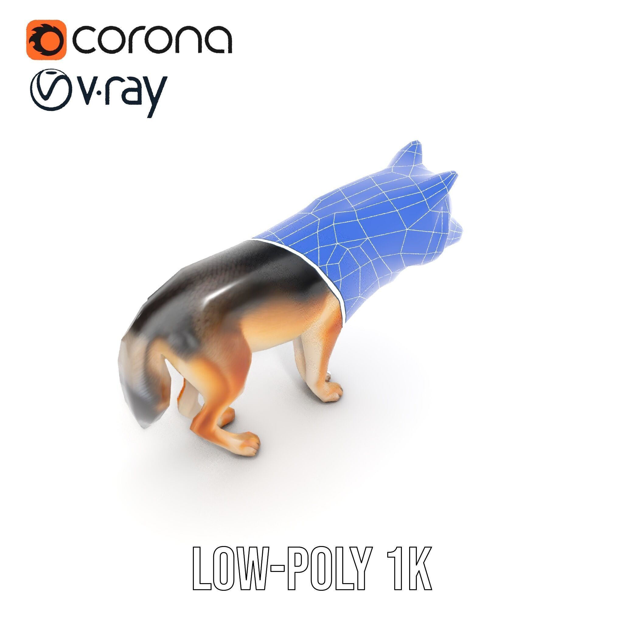 Realistic Wolf D Model Pack Low-poly 3D model_10