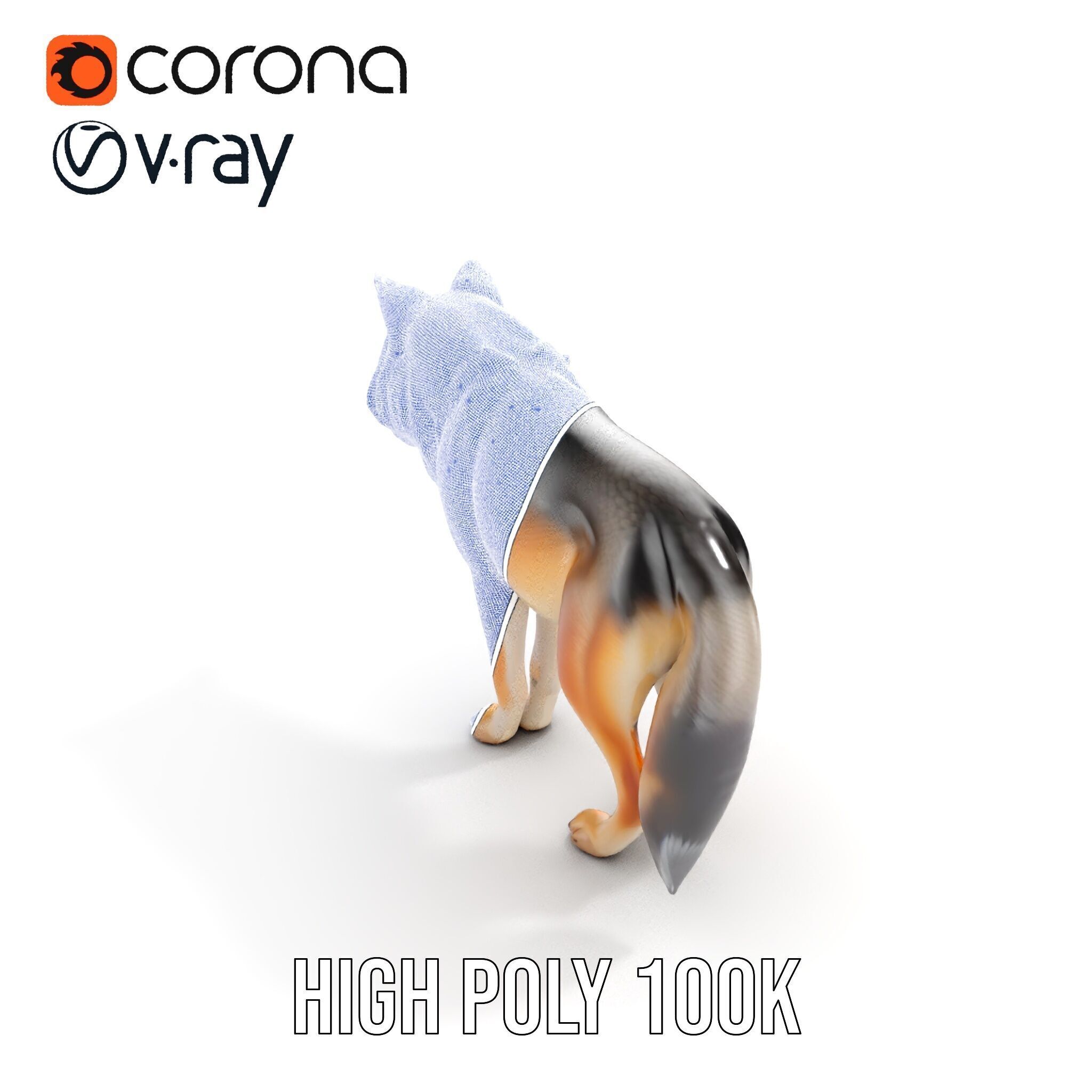 Realistic Wolf D Model Pack Low-poly 3D model_35