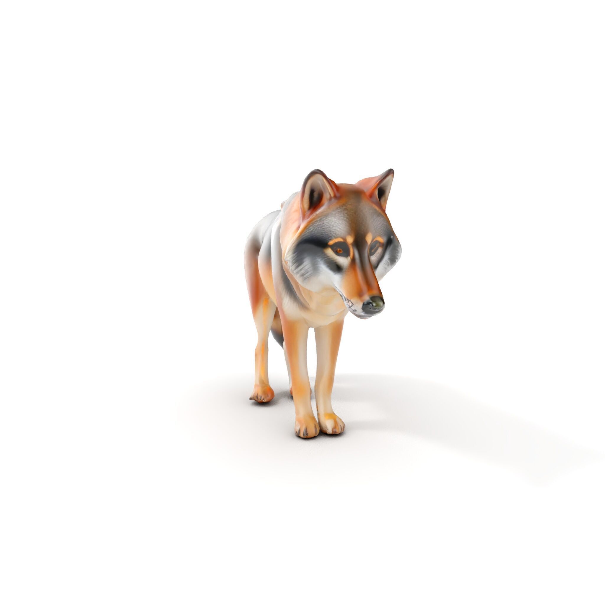 Realistic Wolf D Model Pack Low-poly 3D model_6