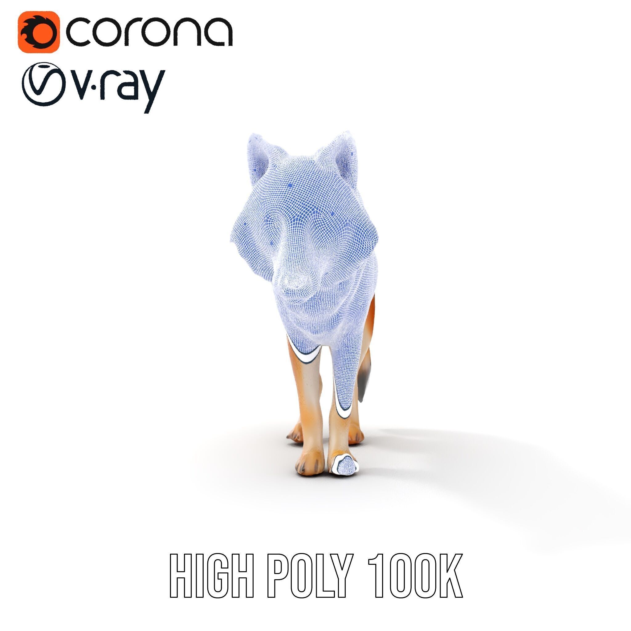 Realistic Wolf D Model Pack Low-poly 3D model_36