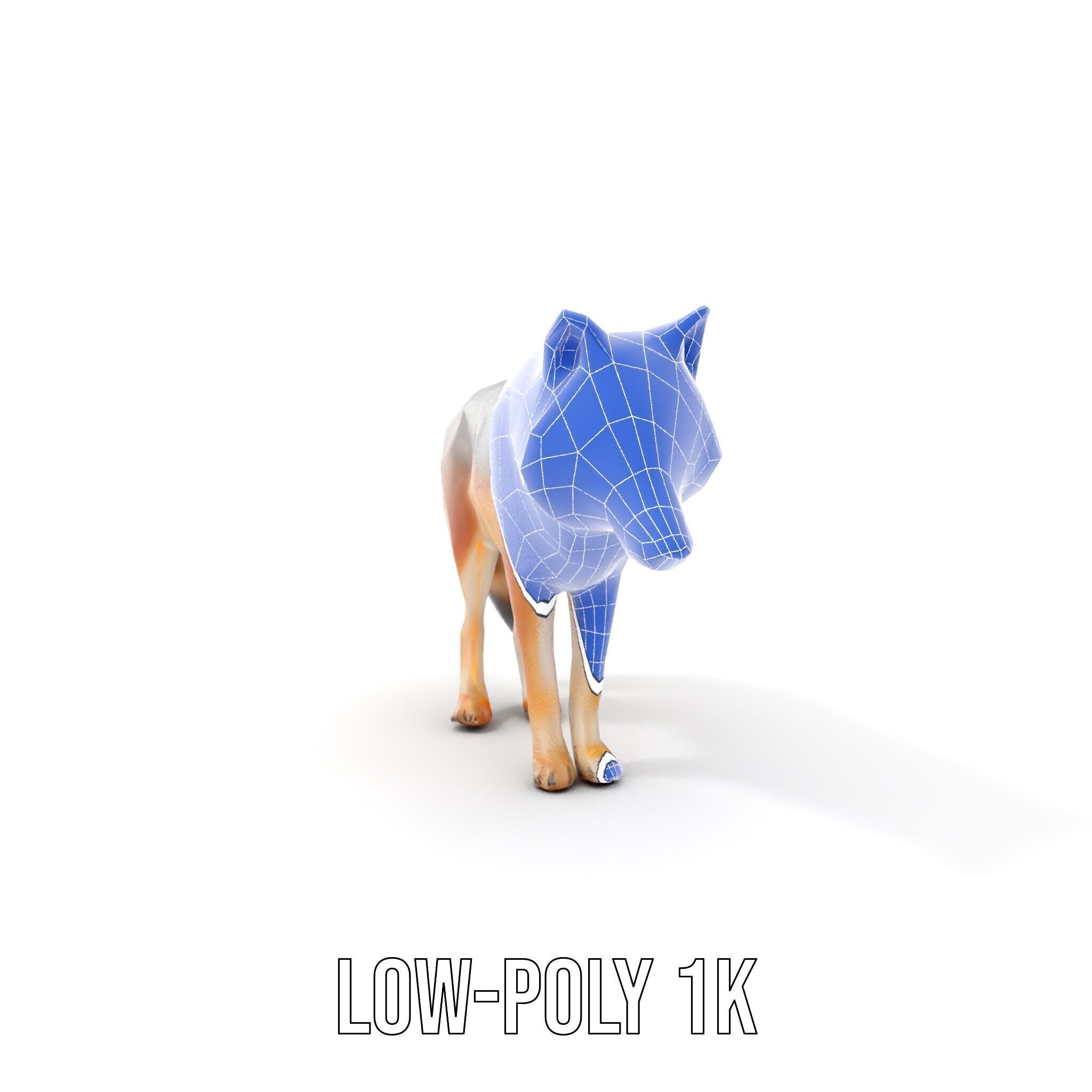 Realistic Wolf D Model Pack Low-poly 3D model_29