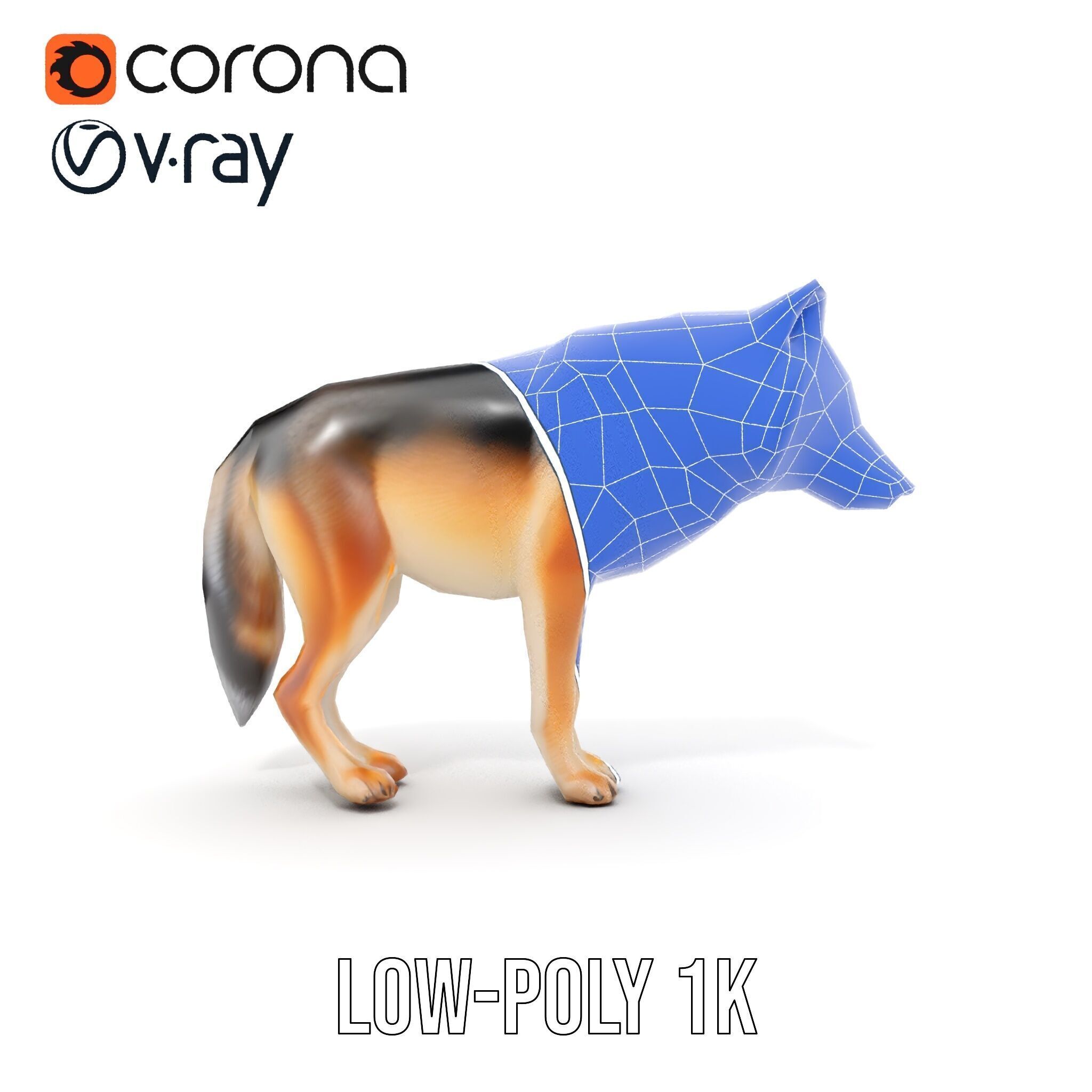 Realistic Wolf D Model Pack Low-poly 3D model_31