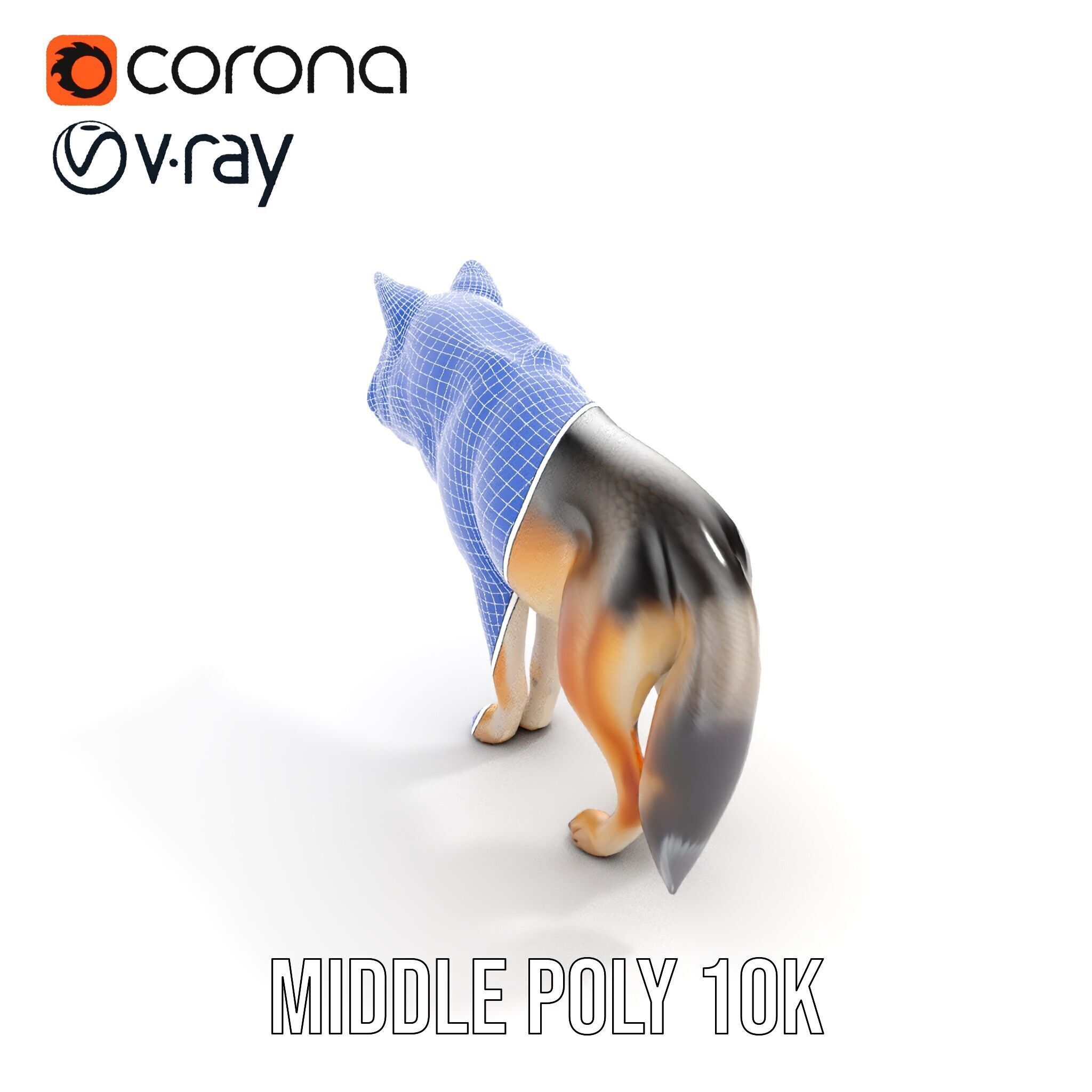 Realistic Wolf D Model Pack Low-poly 3D model_17