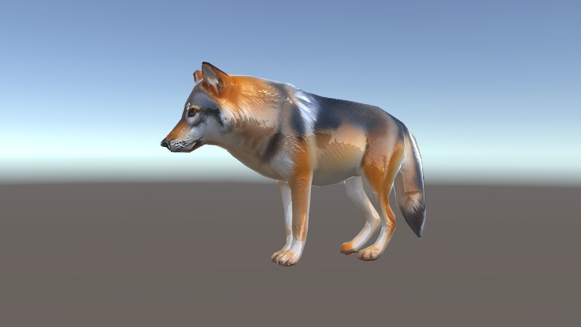 Realistic Wolf D Model Pack Low-poly 3D model_34