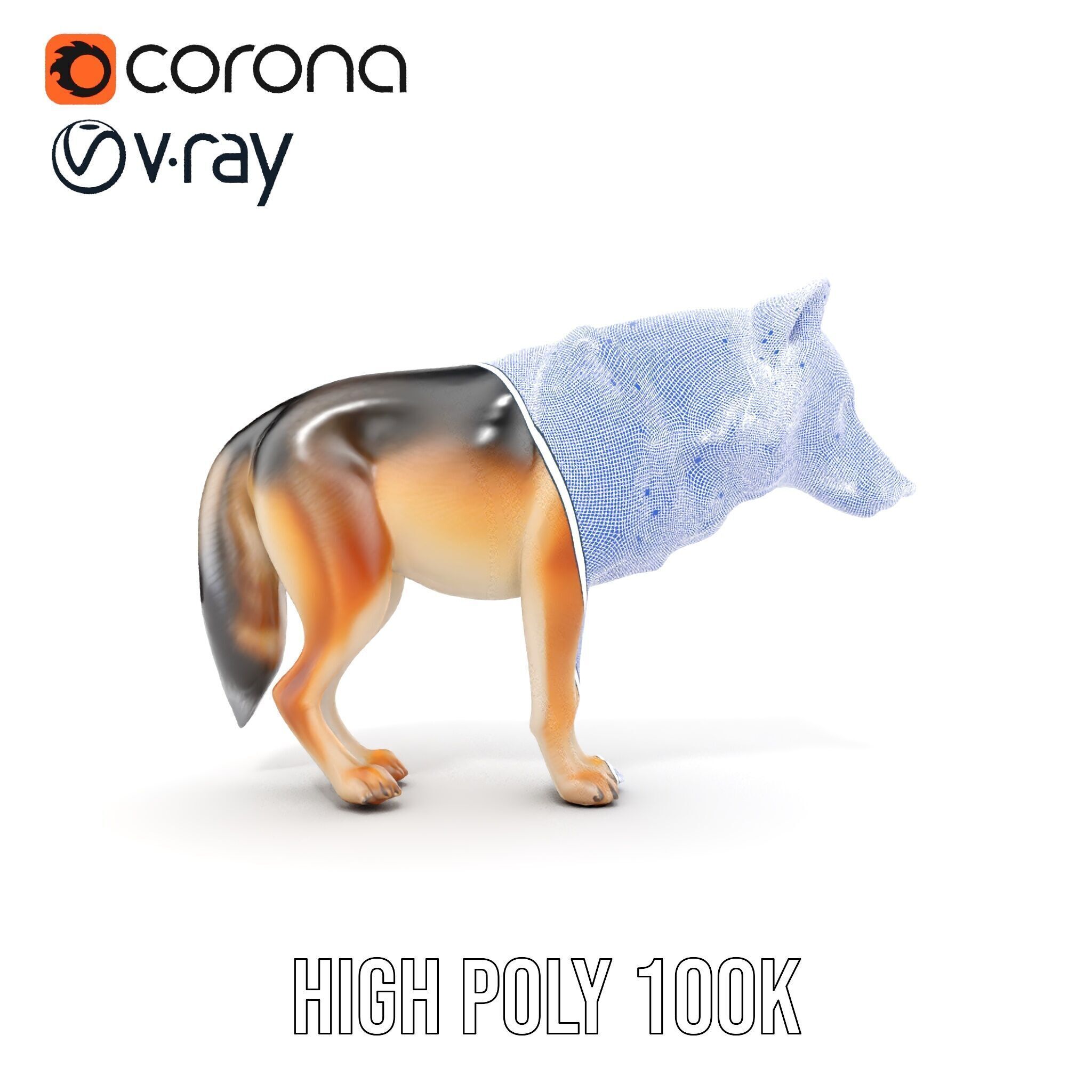 Realistic Wolf D Model Pack Low-poly 3D model_37