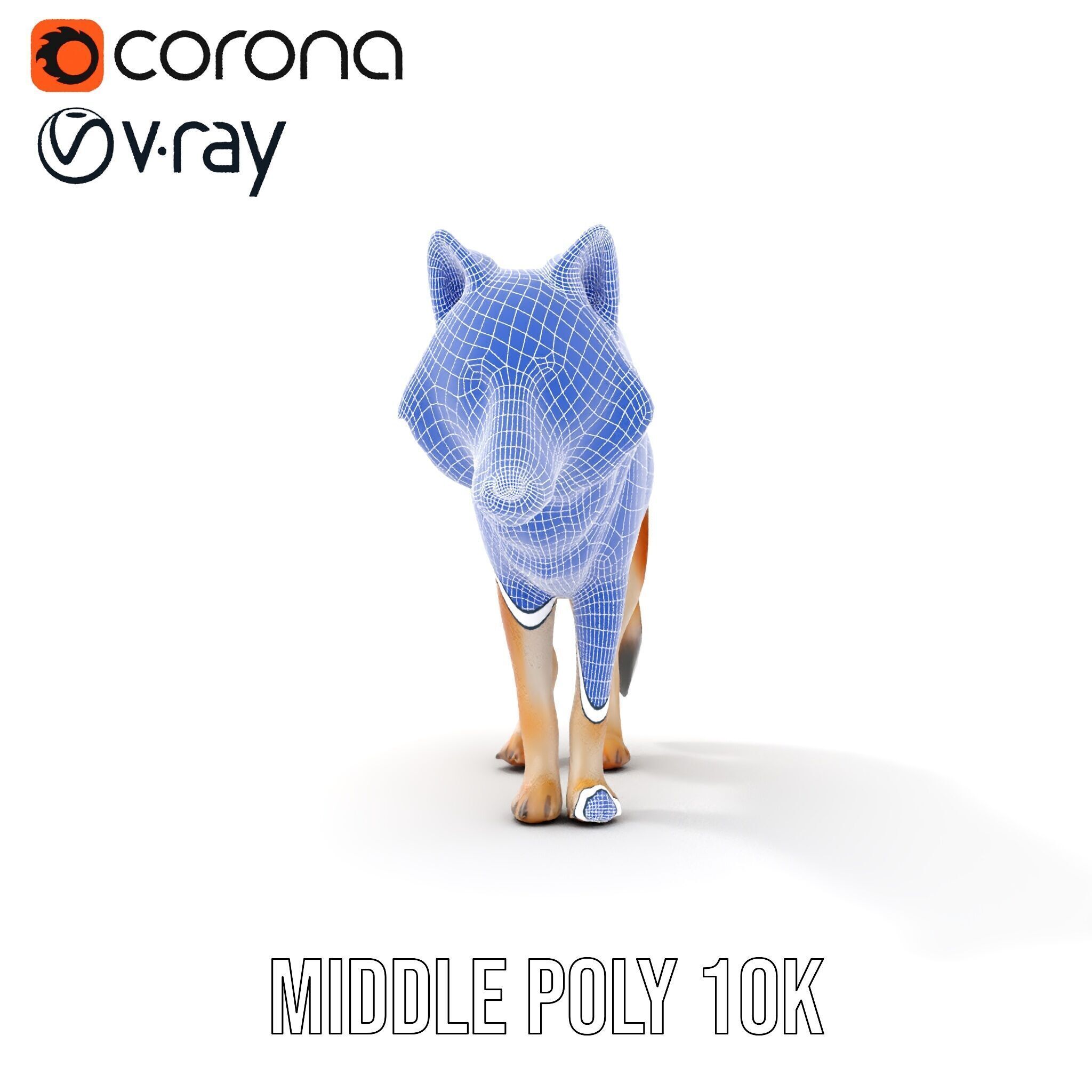 Realistic Wolf D Model Pack Low-poly 3D model_25