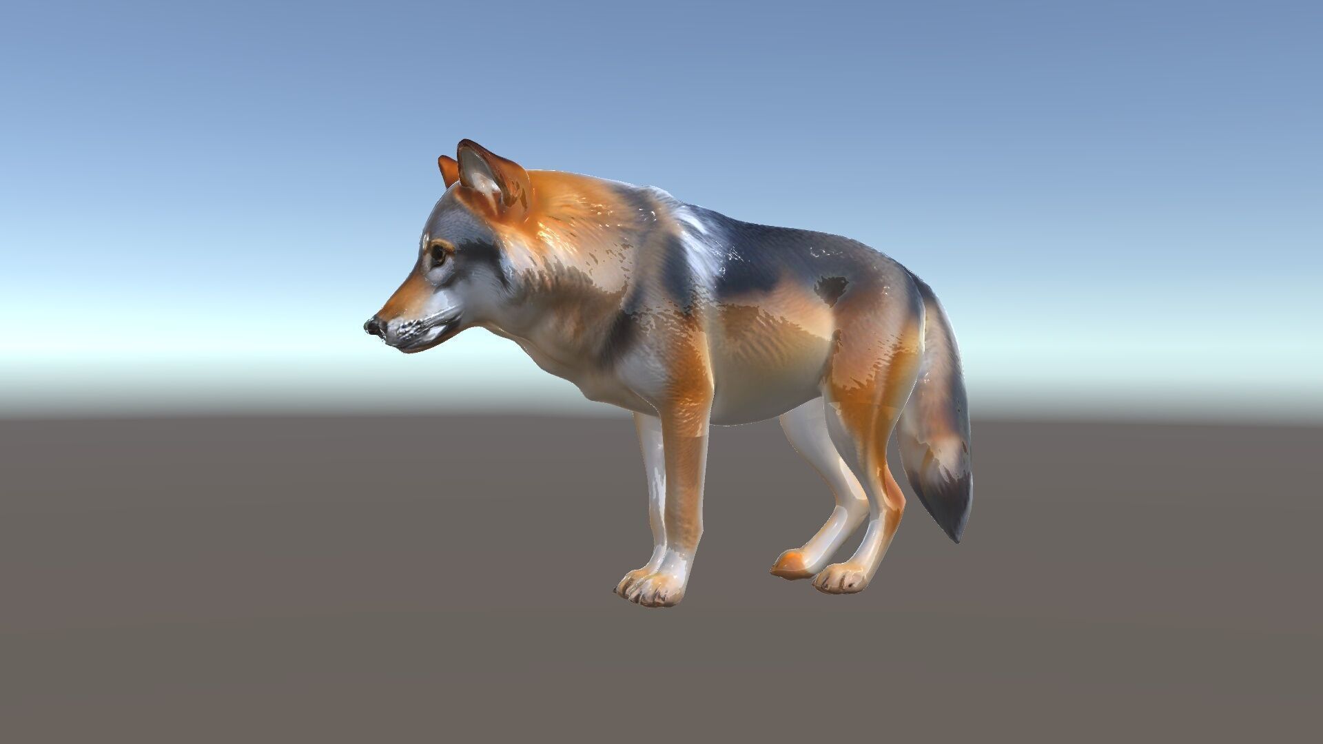 Realistic Wolf D Model Pack Low-poly 3D model_33