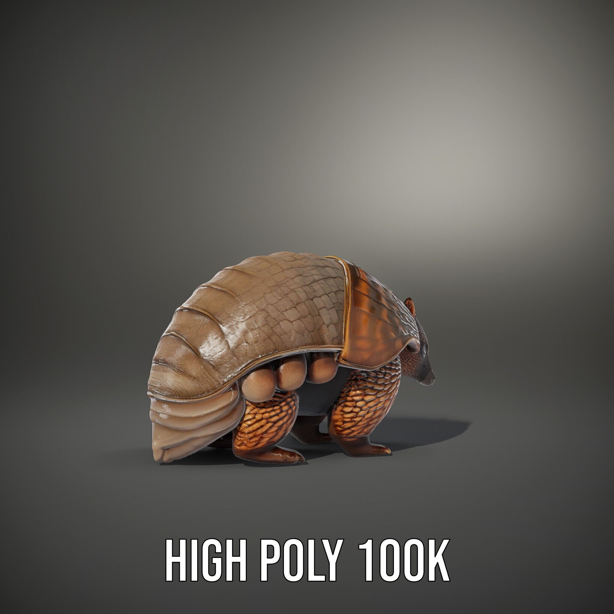 Armadillo Creature D Model Pack Low-poly 3D model_9