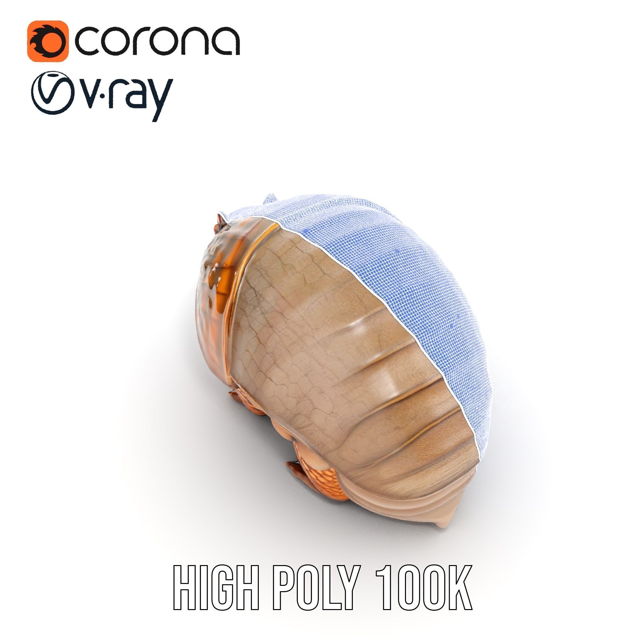 Armadillo Creature D Model Pack Low-poly 3D model_37