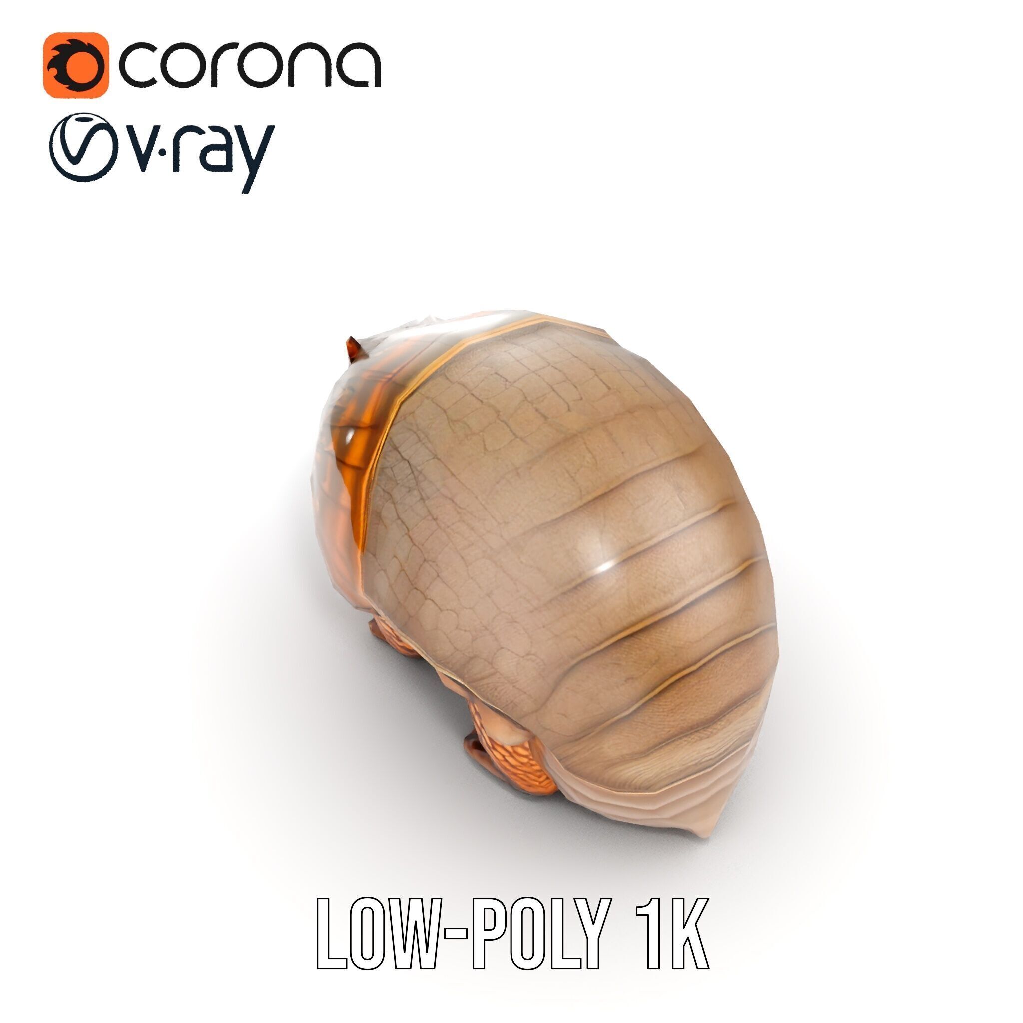 Armadillo Creature D Model Pack Low-poly 3D model_11