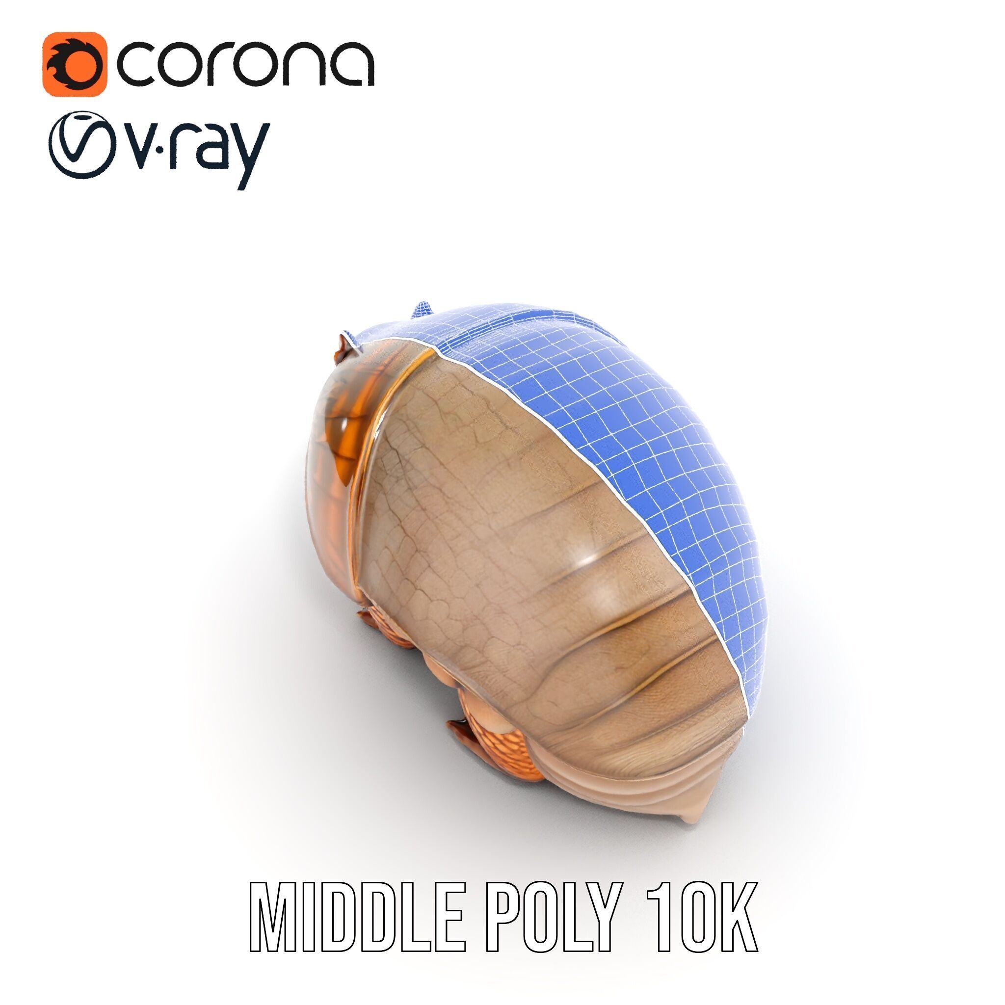 Armadillo Creature D Model Pack Low-poly 3D model_29