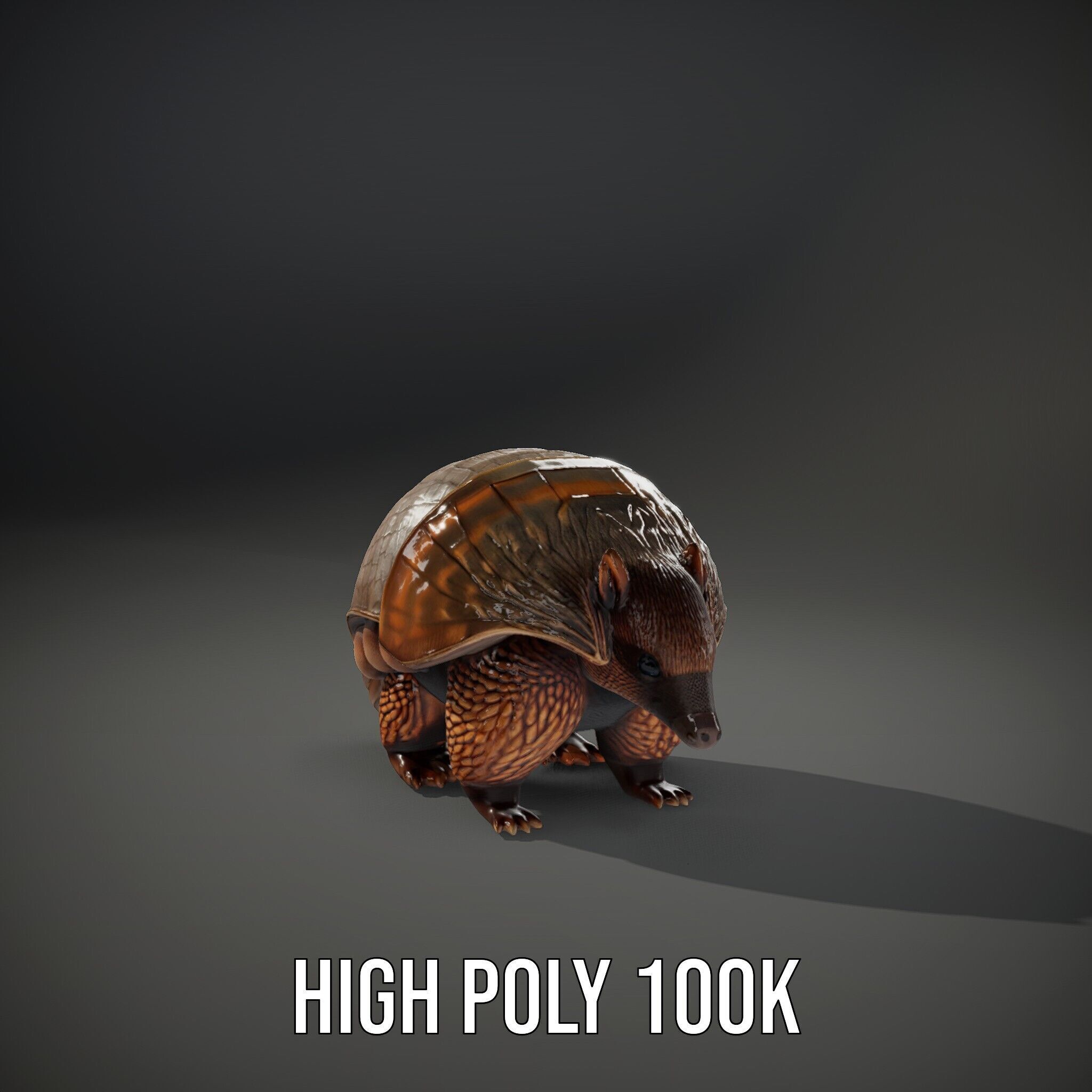 Armadillo Creature D Model Pack Low-poly 3D model_12