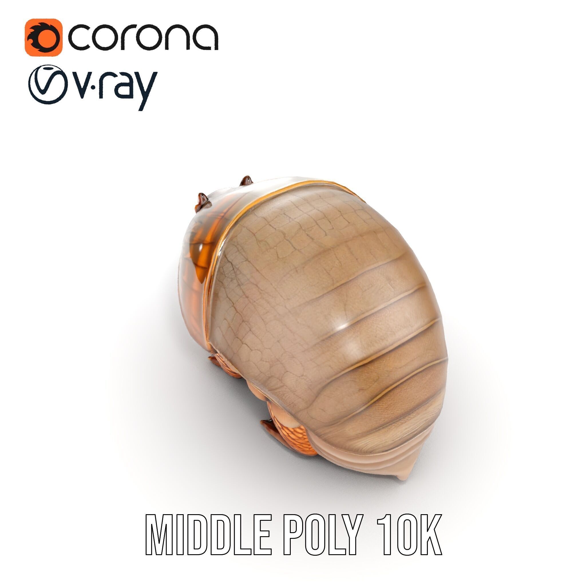 Armadillo Creature D Model Pack Low-poly 3D model_7