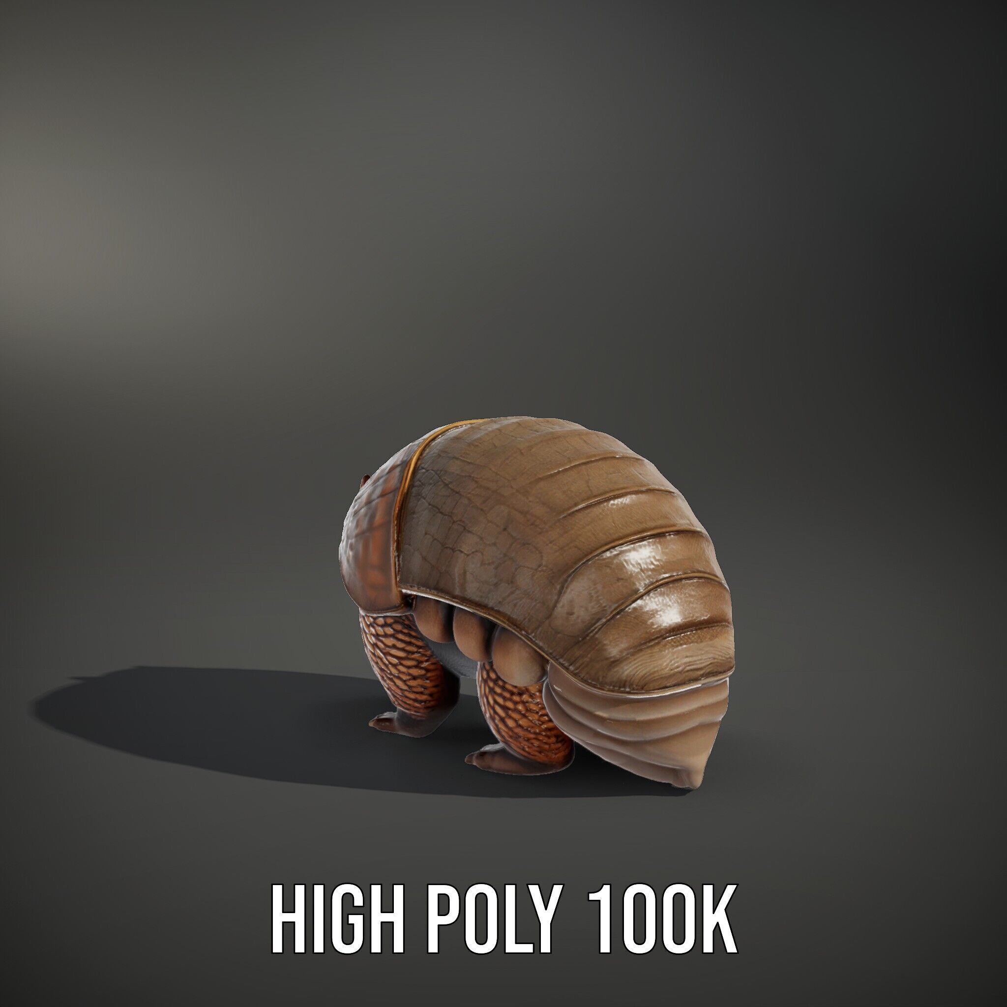 Armadillo Creature D Model Pack Low-poly 3D model_15