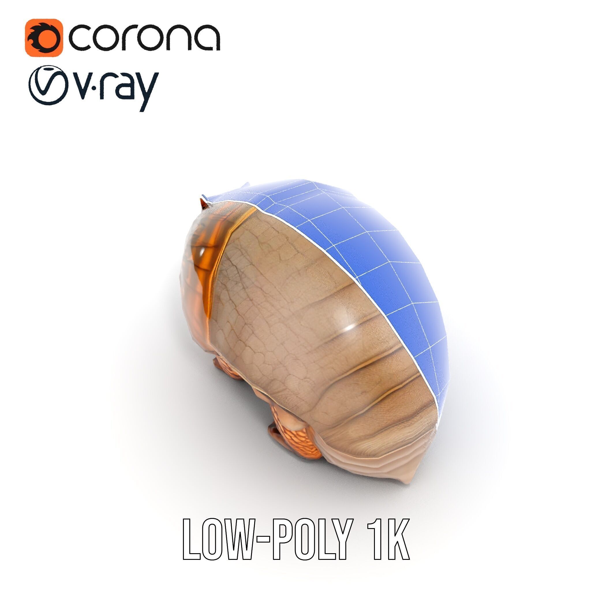 Armadillo Creature D Model Pack Low-poly 3D model_19