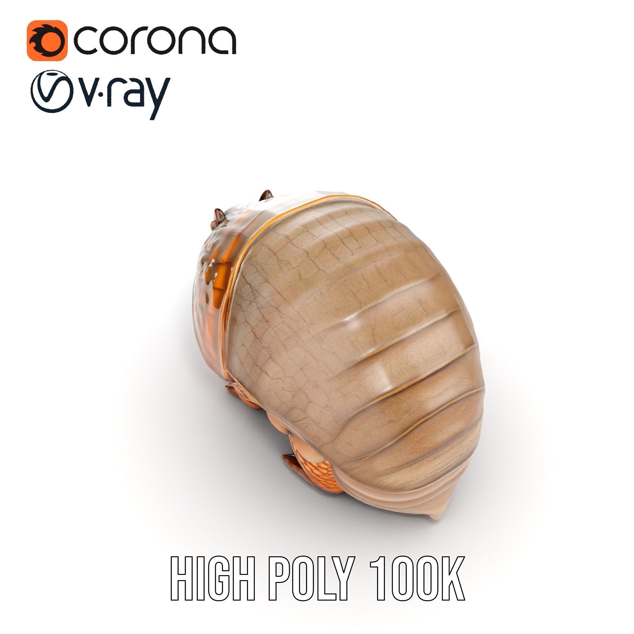 Armadillo Creature D Model Pack Low-poly 3D model_25