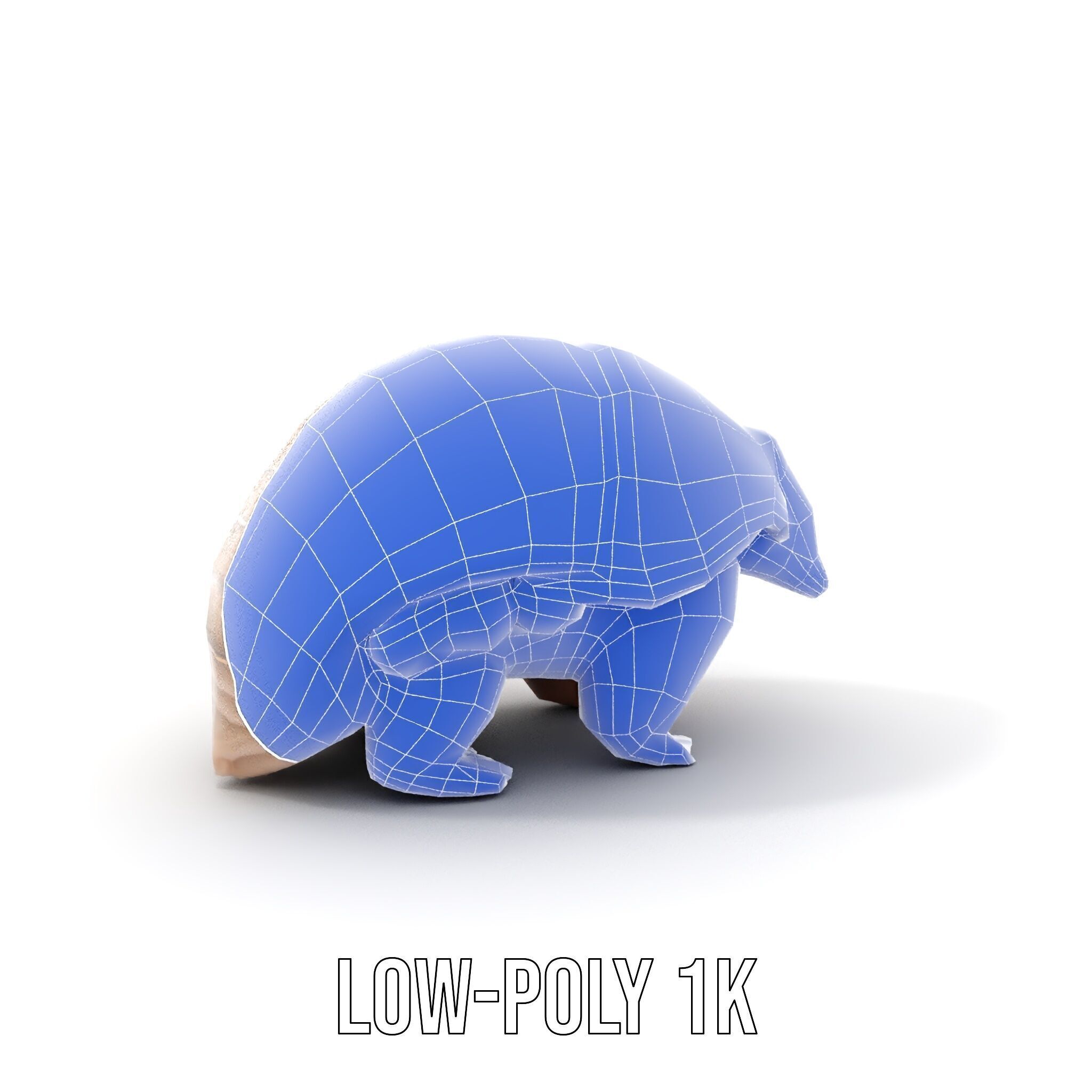 Armadillo Creature D Model Pack Low-poly 3D model_21