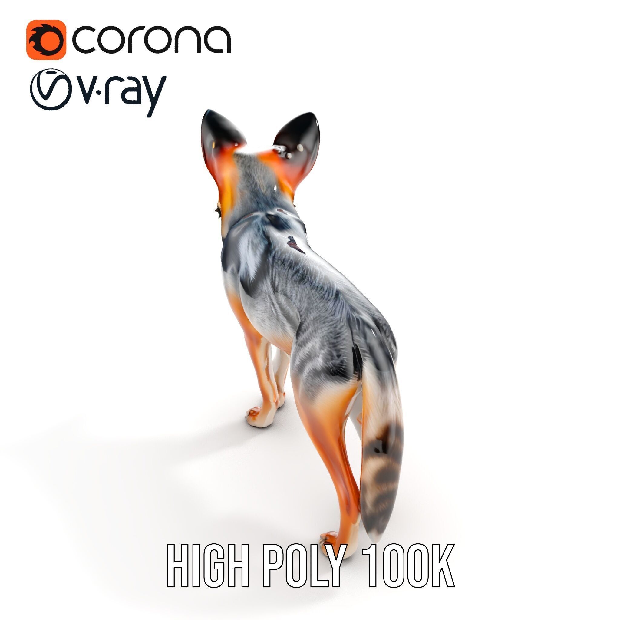 Fox Model Pack  Realistic D Animal Character Low-poly 3D model_33